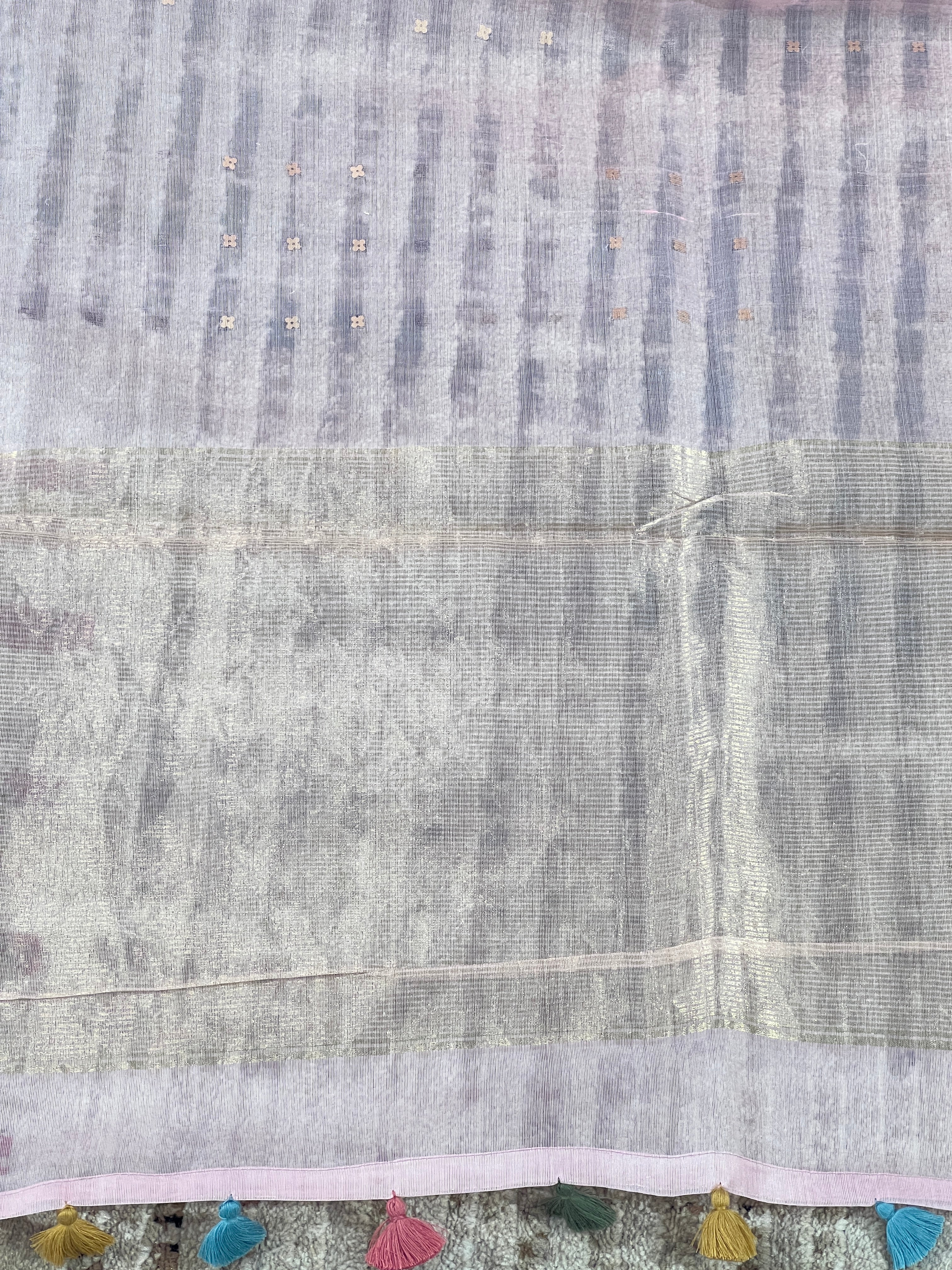 Floral Embroidery Border Pattern Organza Saree | RGD568