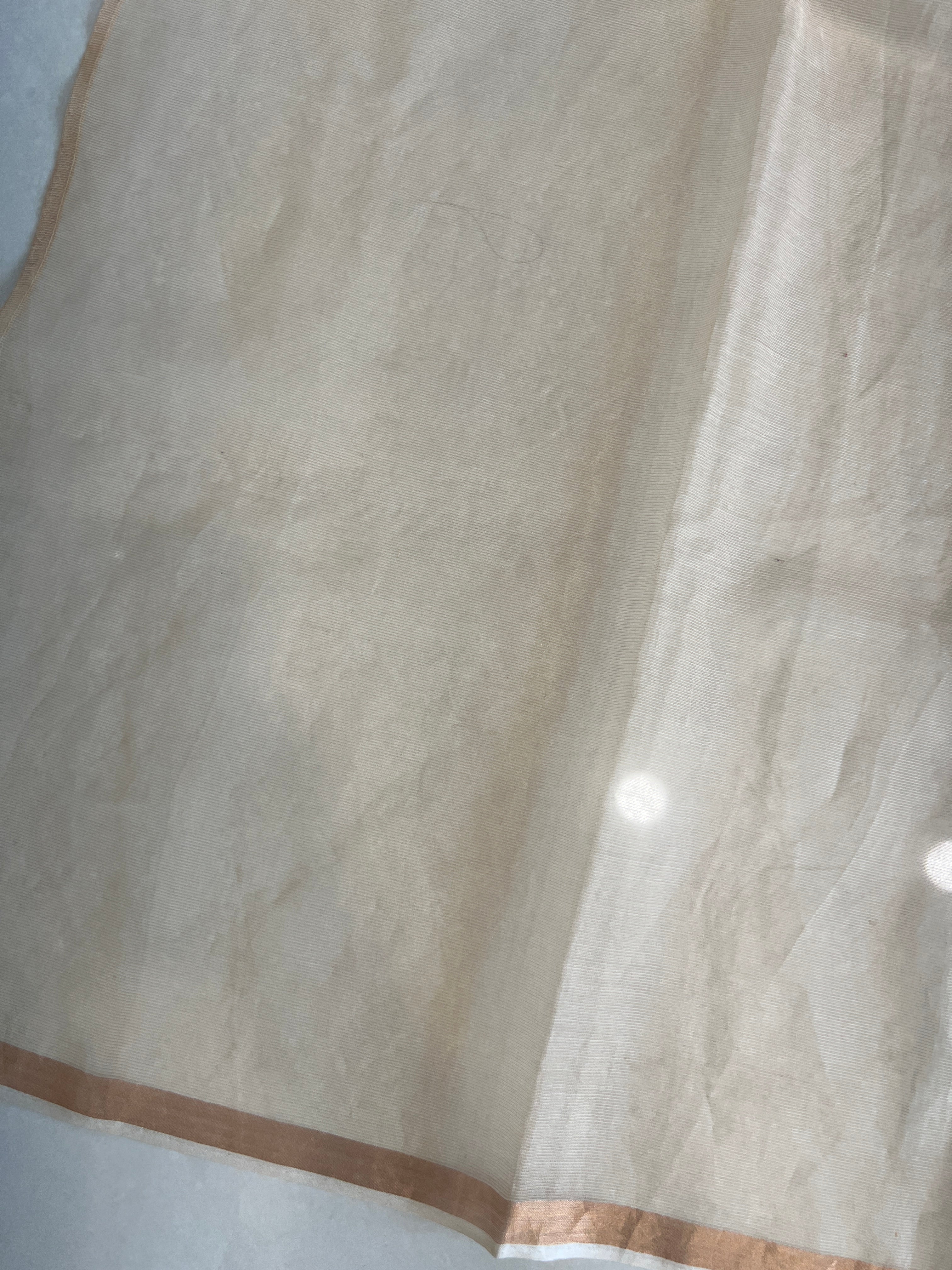 Cross Stitch Embroidered Tussar Organza Saree | RGD553