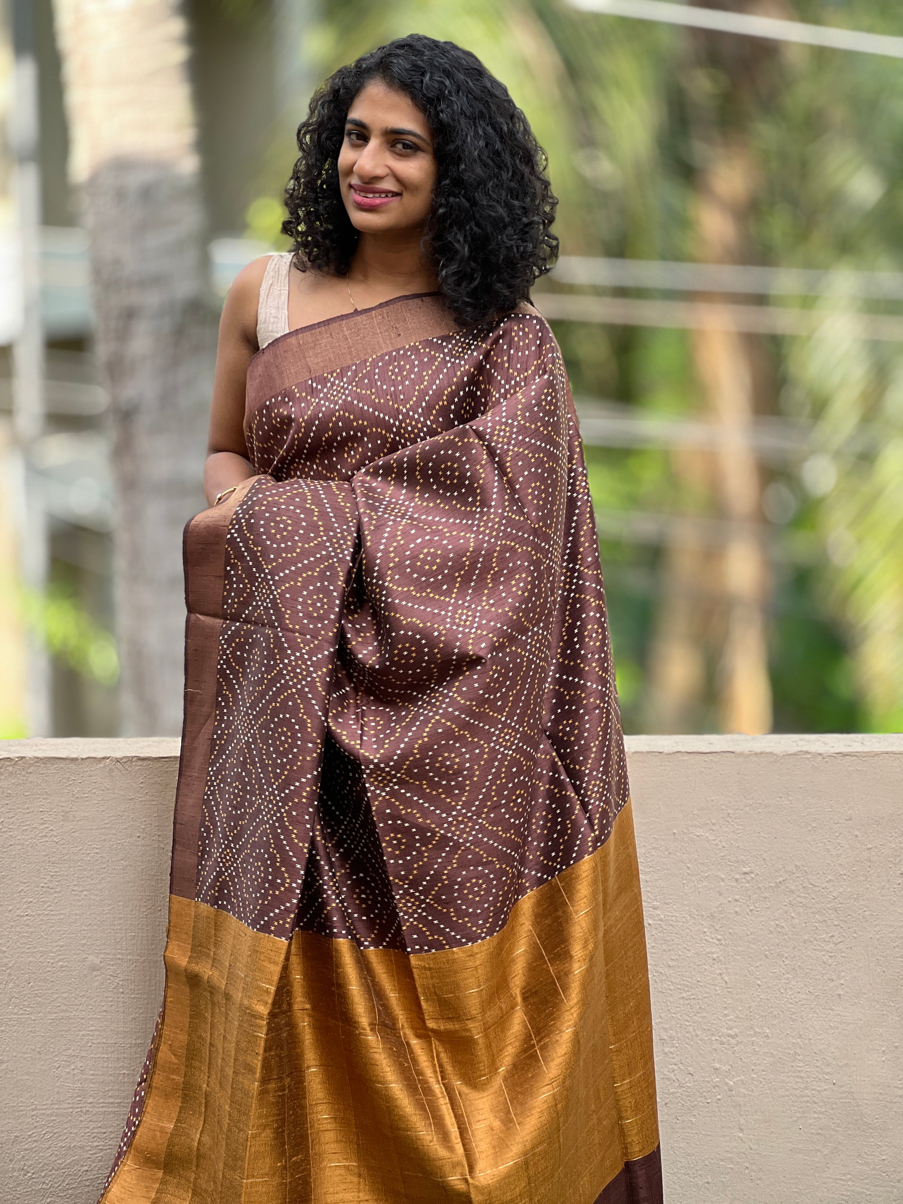 Ikat Weaving Dupion Raw Silk Saree | HS1228