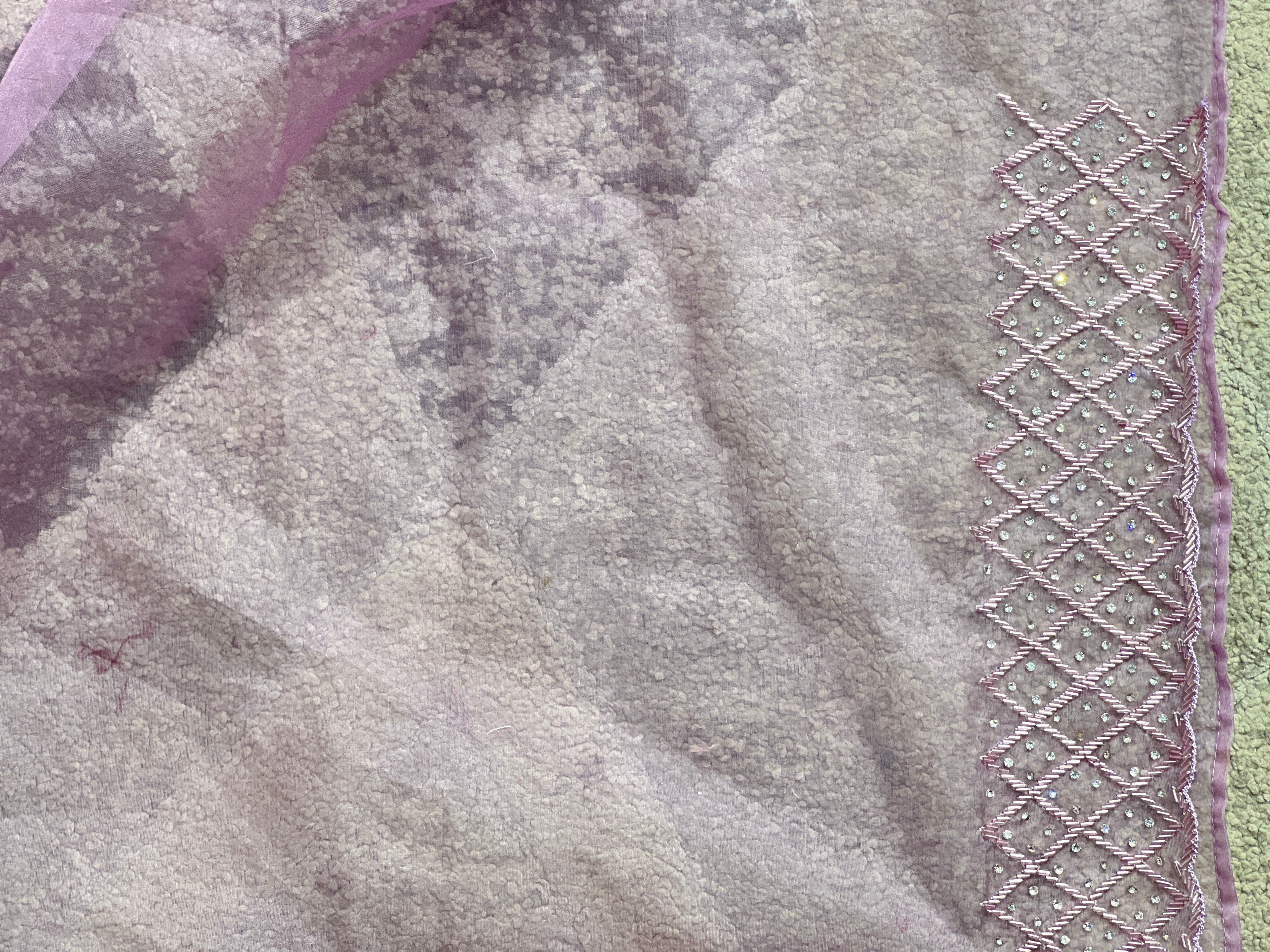 Embroidery Pure Organza Saree  | SBP855