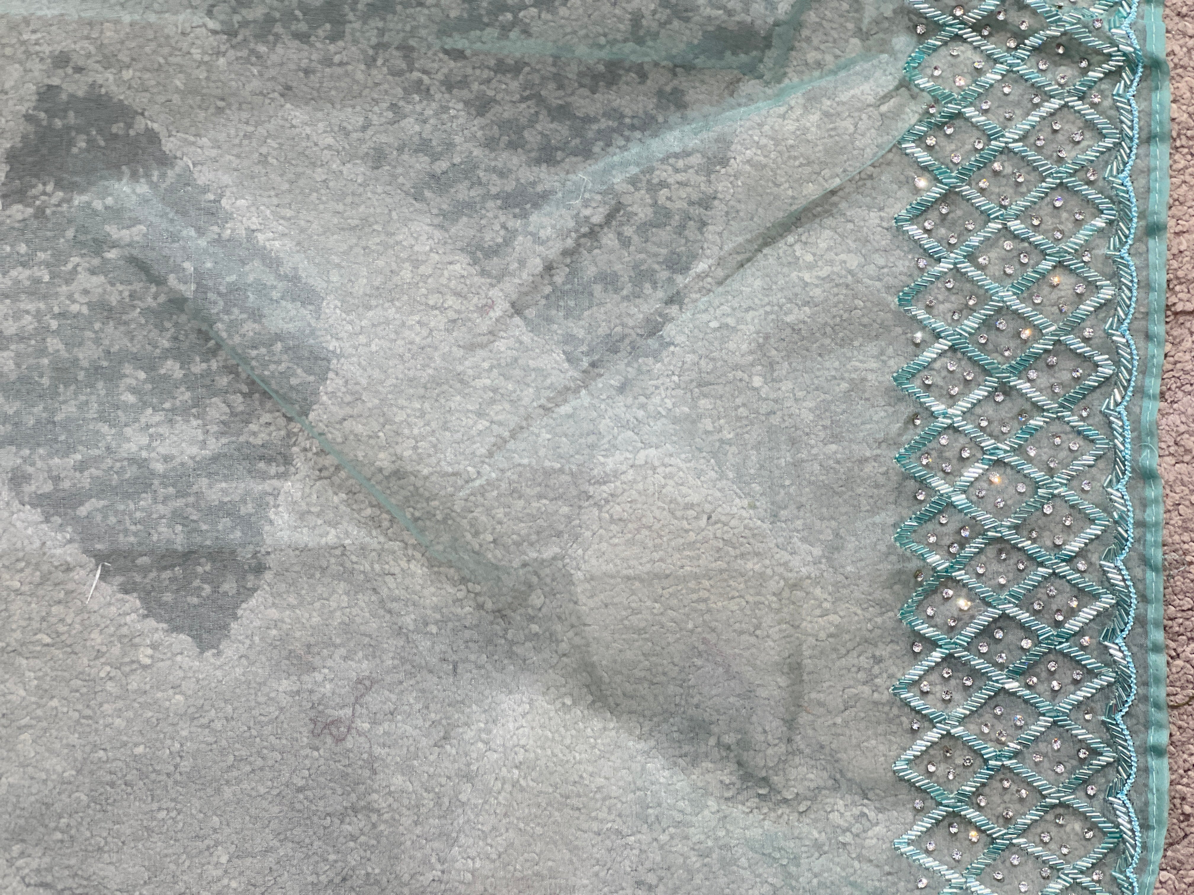 Embroidery Pure Organza Saree | SBP854