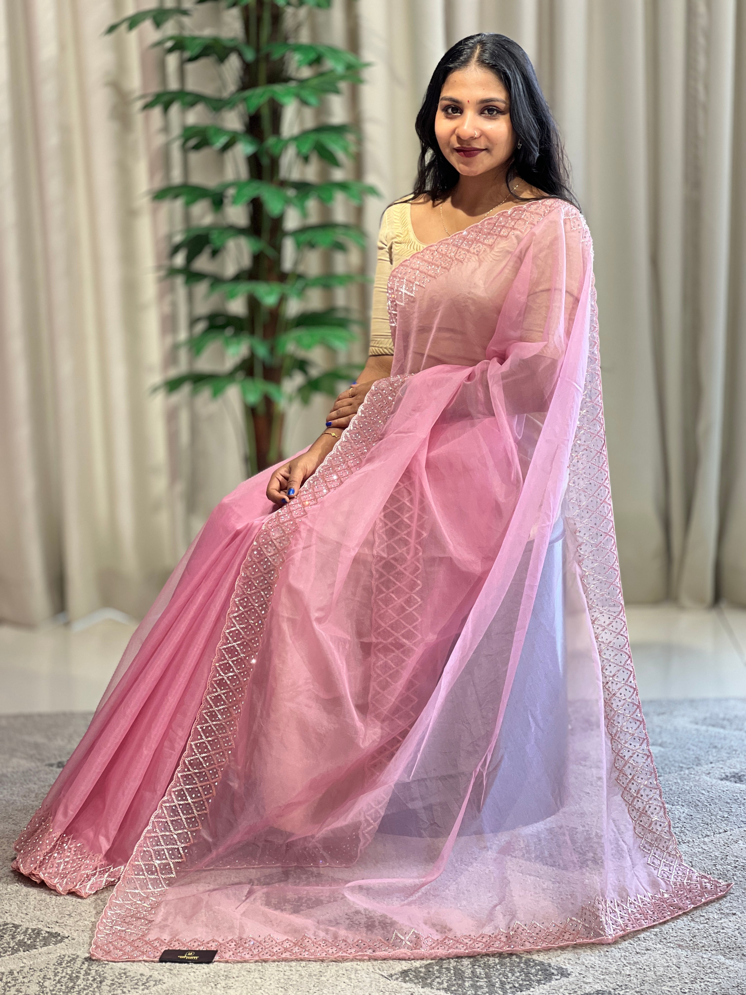 Embroidery Pure Organza Saree | SBP853