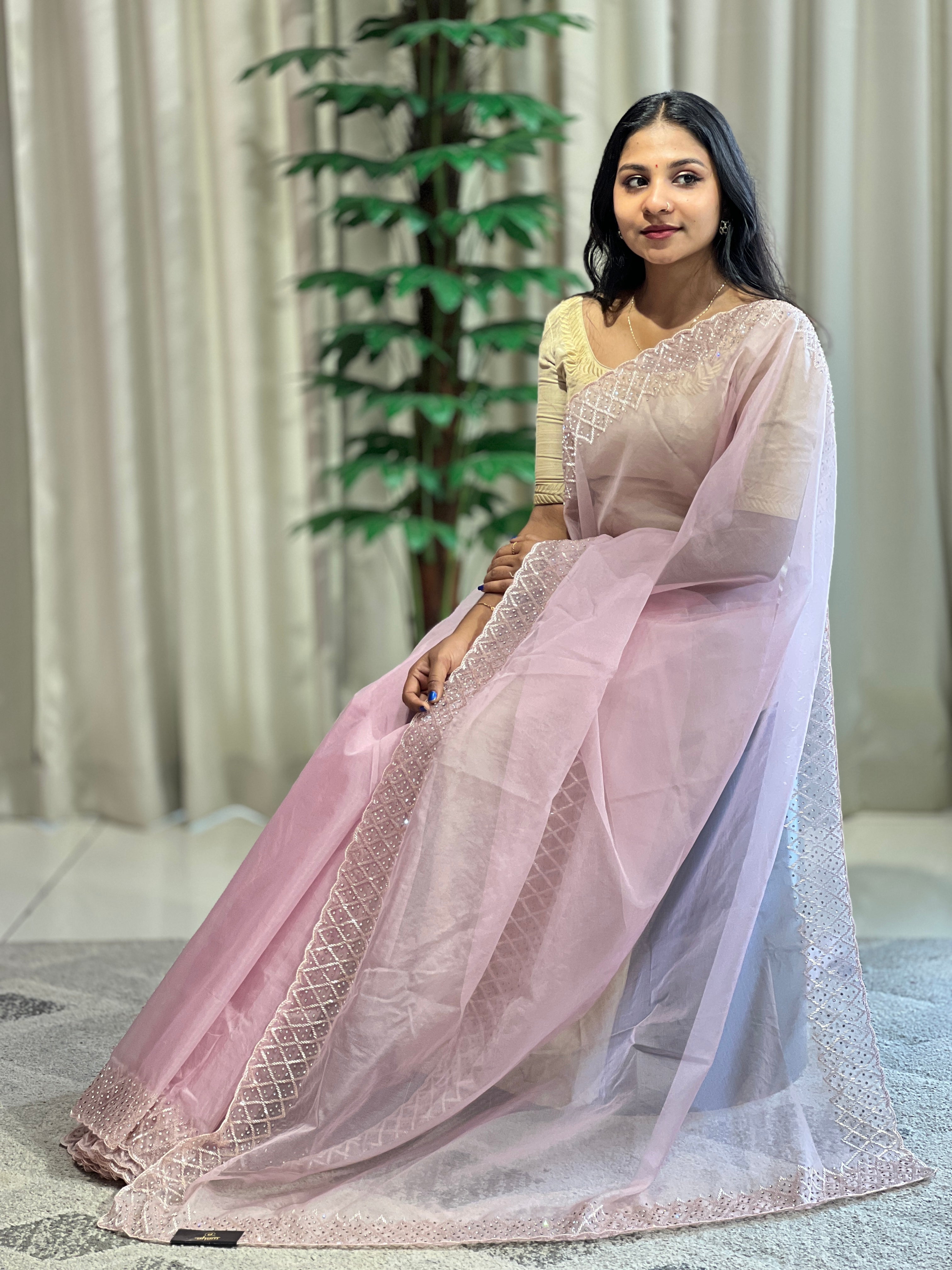 Hand Embroidery Pure Organza Saree | SBP856