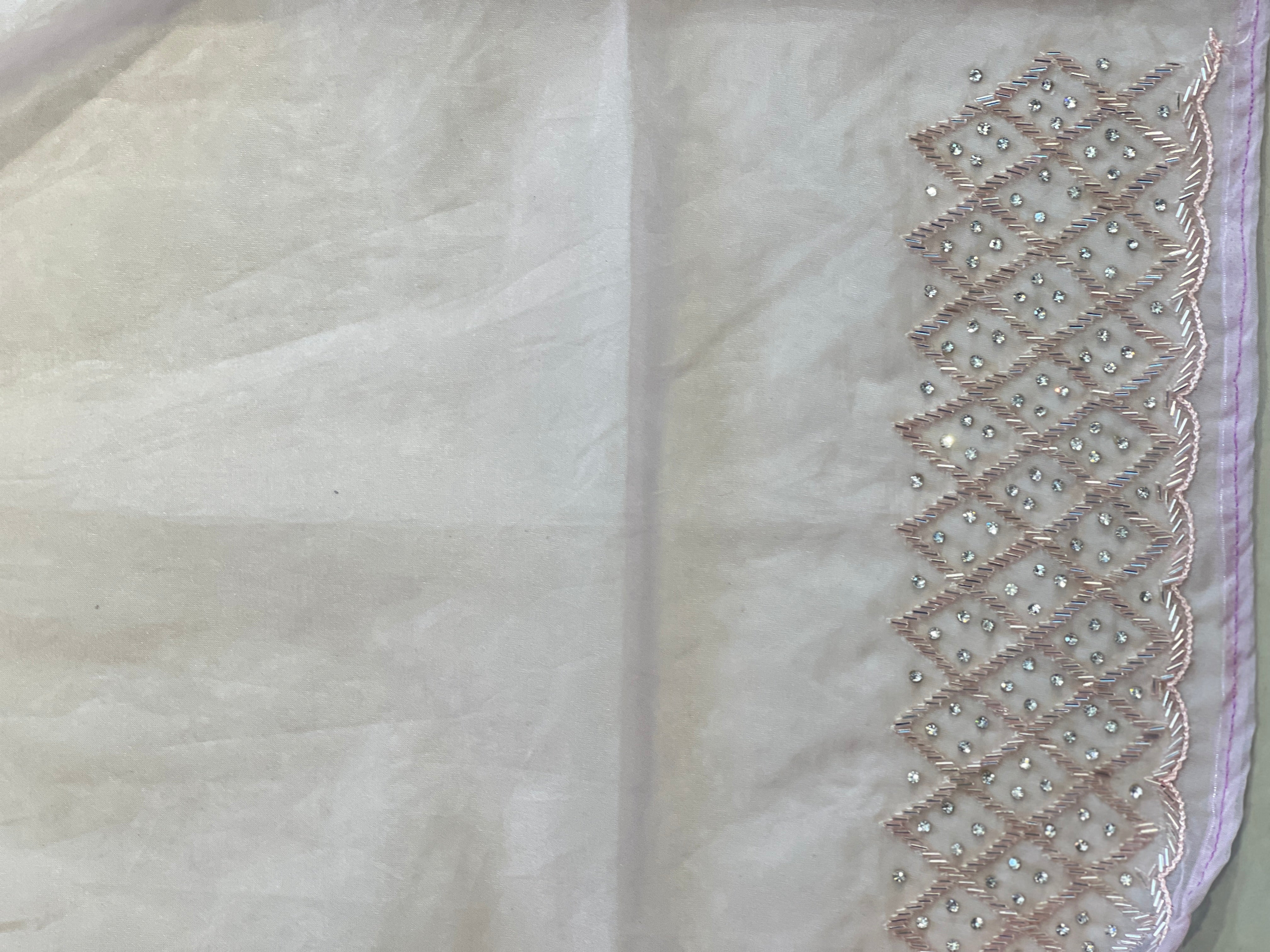 Hand Embroidery Pure Organza Saree | SBP856