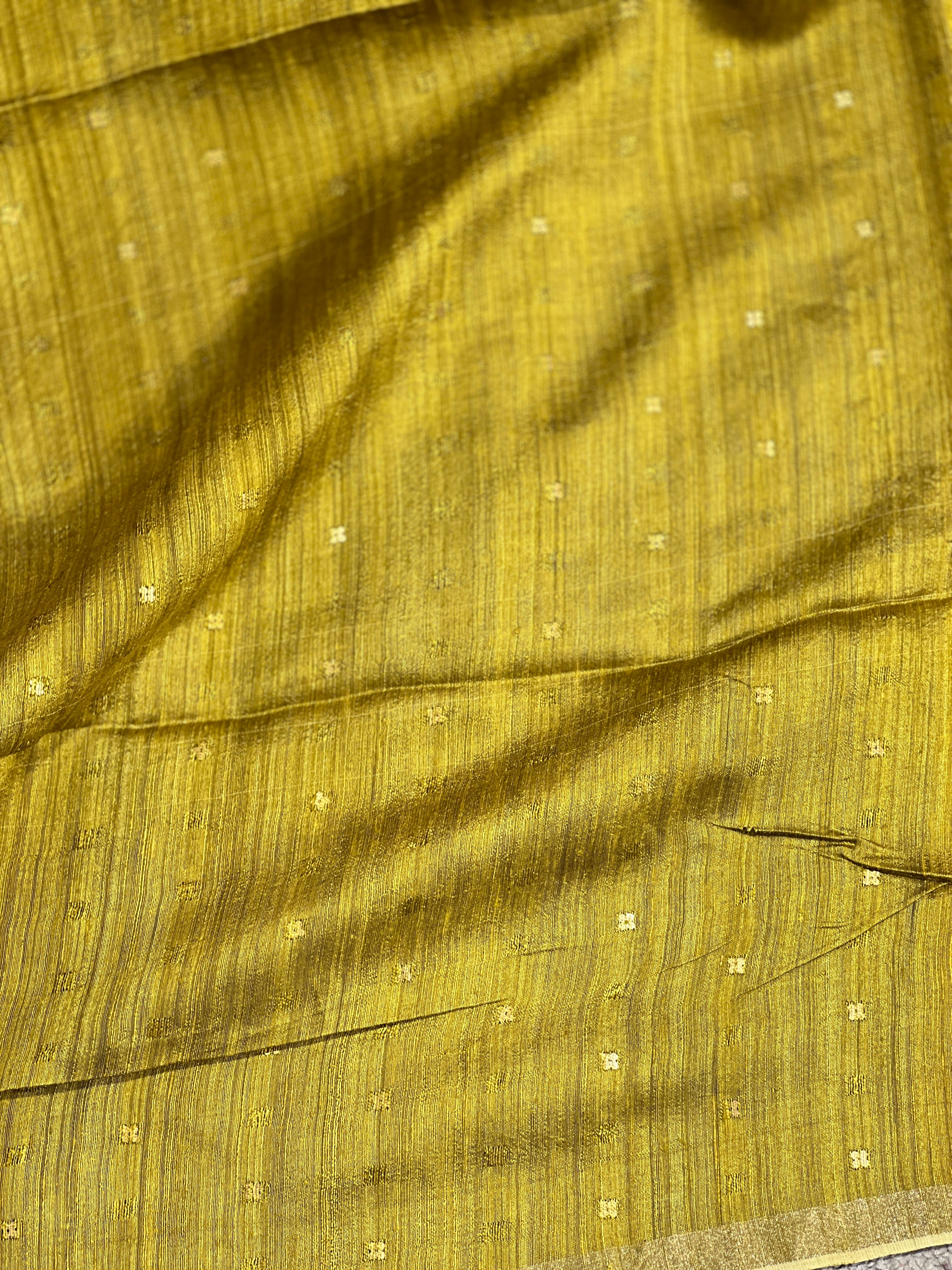 Sequence Weaved Geecha-Matka Tussar Saree | RGD671