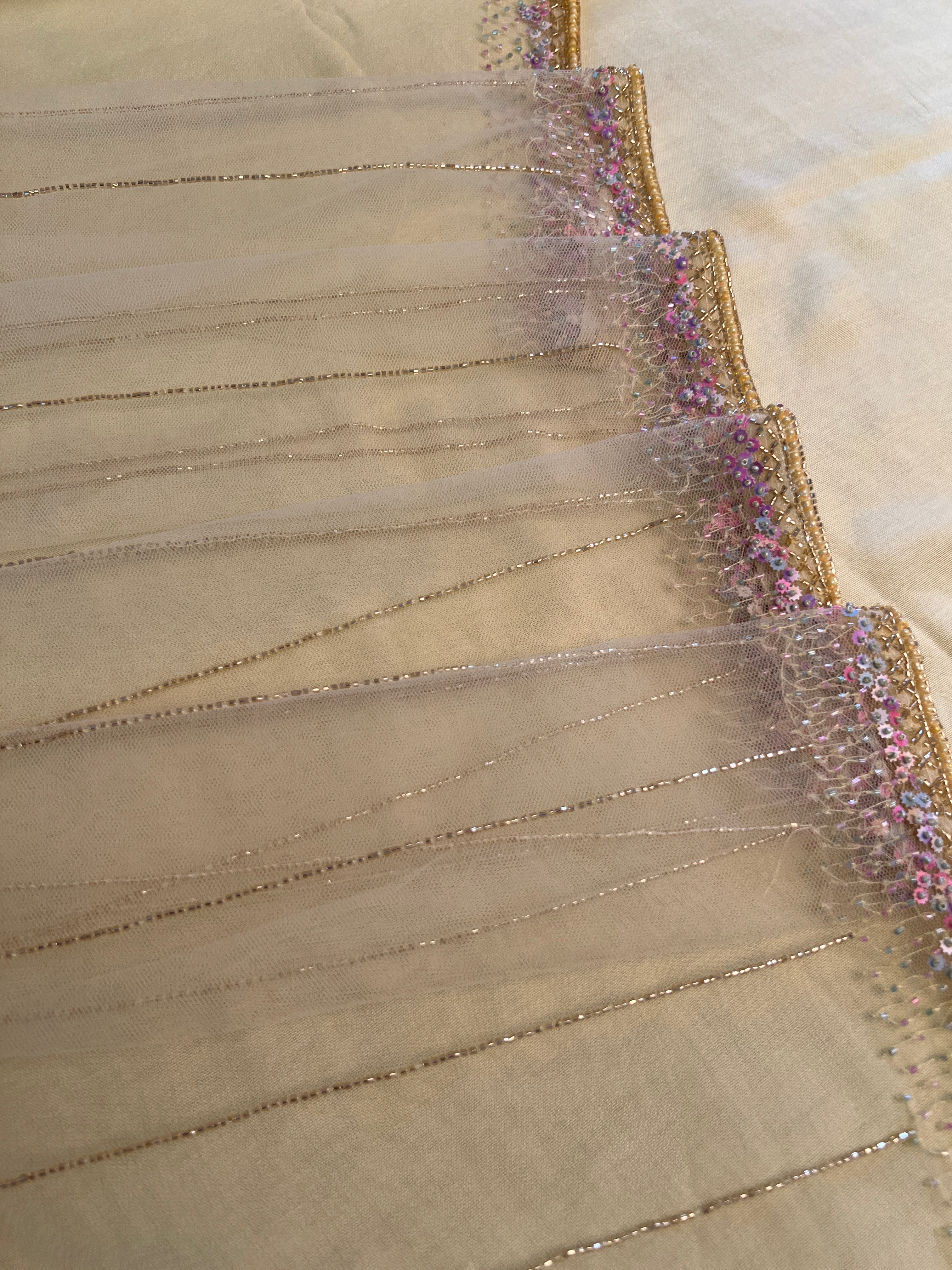 Beads Work Embroidered Net Saree | DSA104