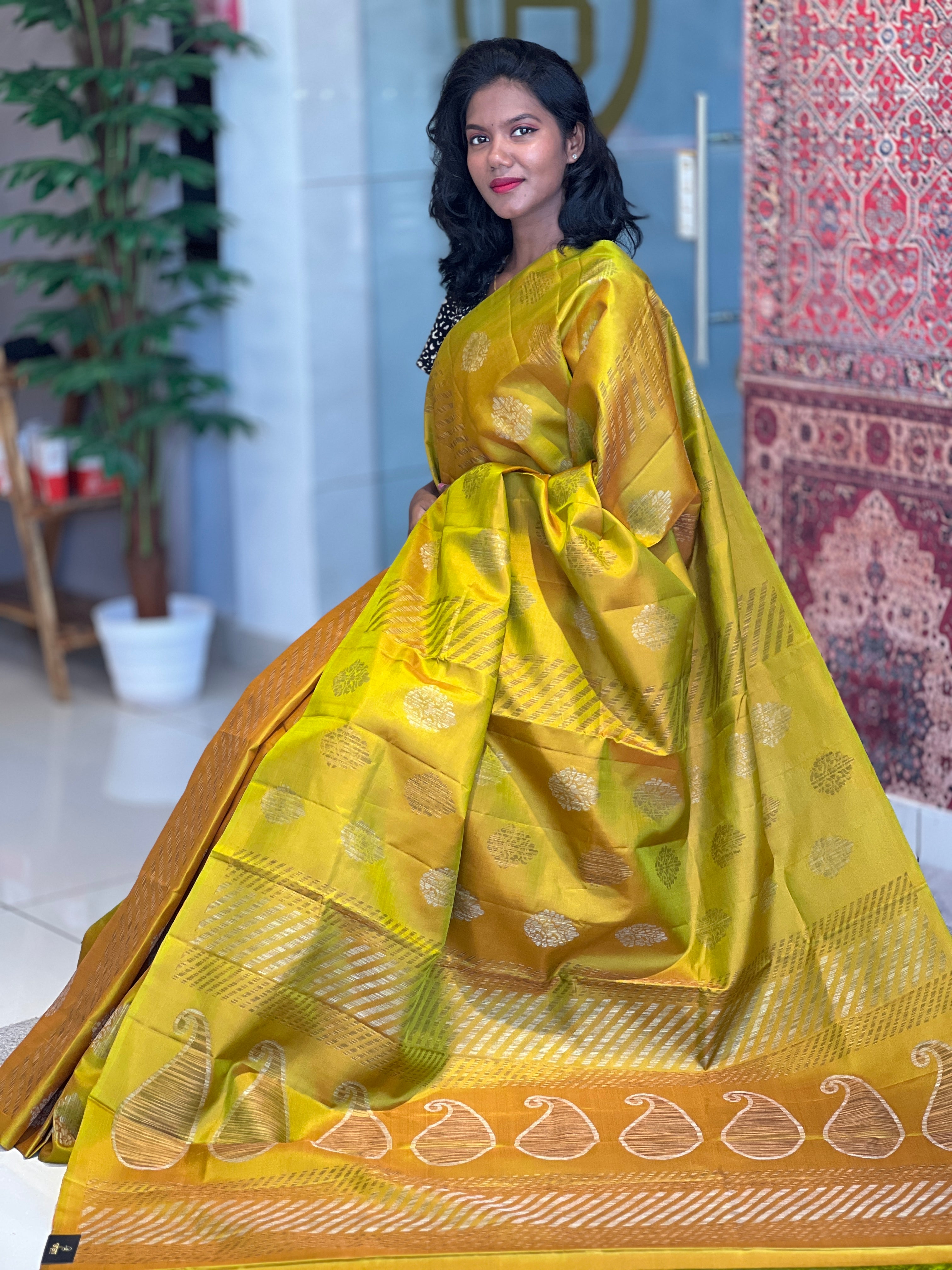 Traditional Thread Woven Patterned Soft Silk Saree | TT283