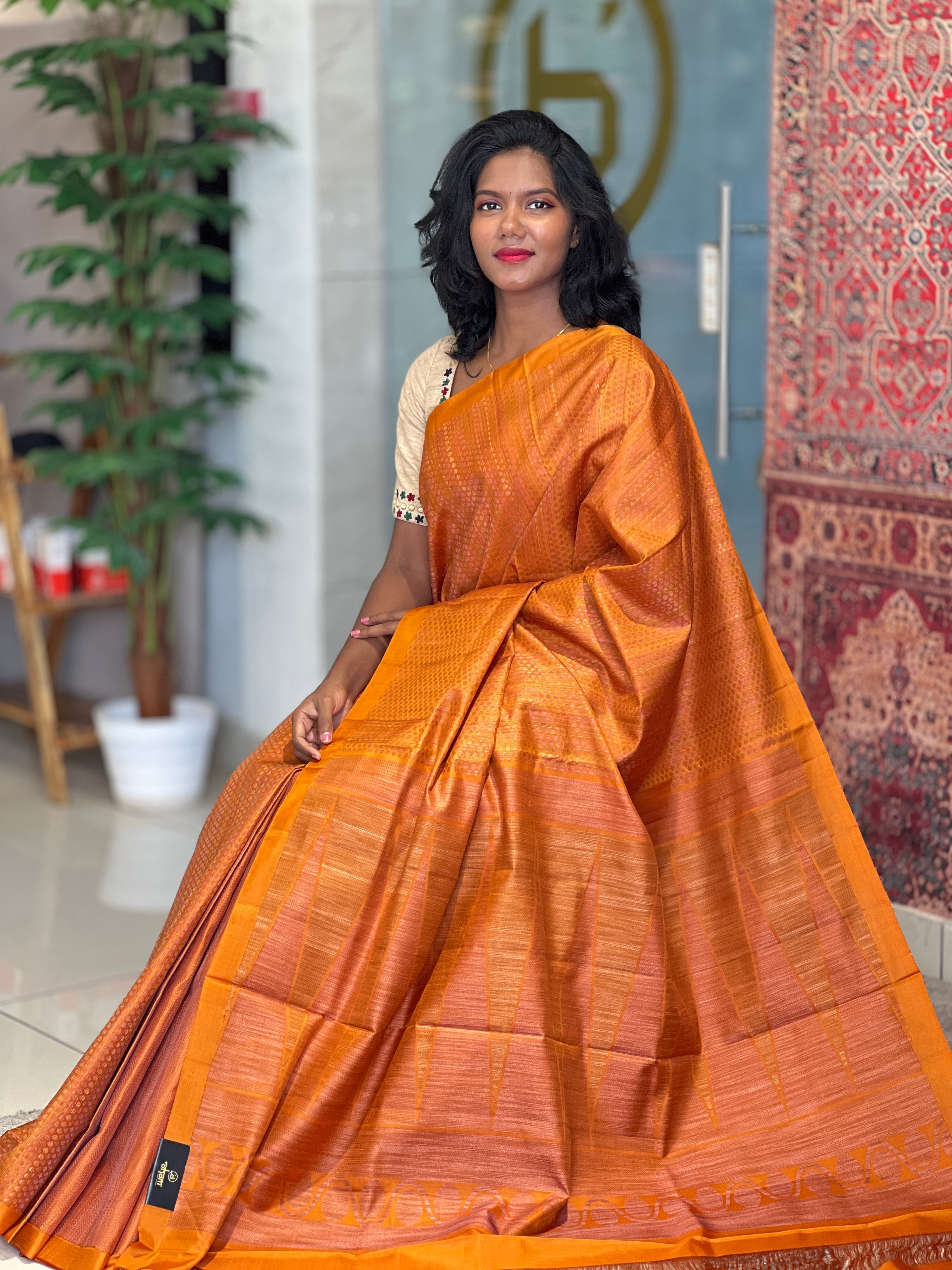 Thread Woven Soft Silk Saree | TT281