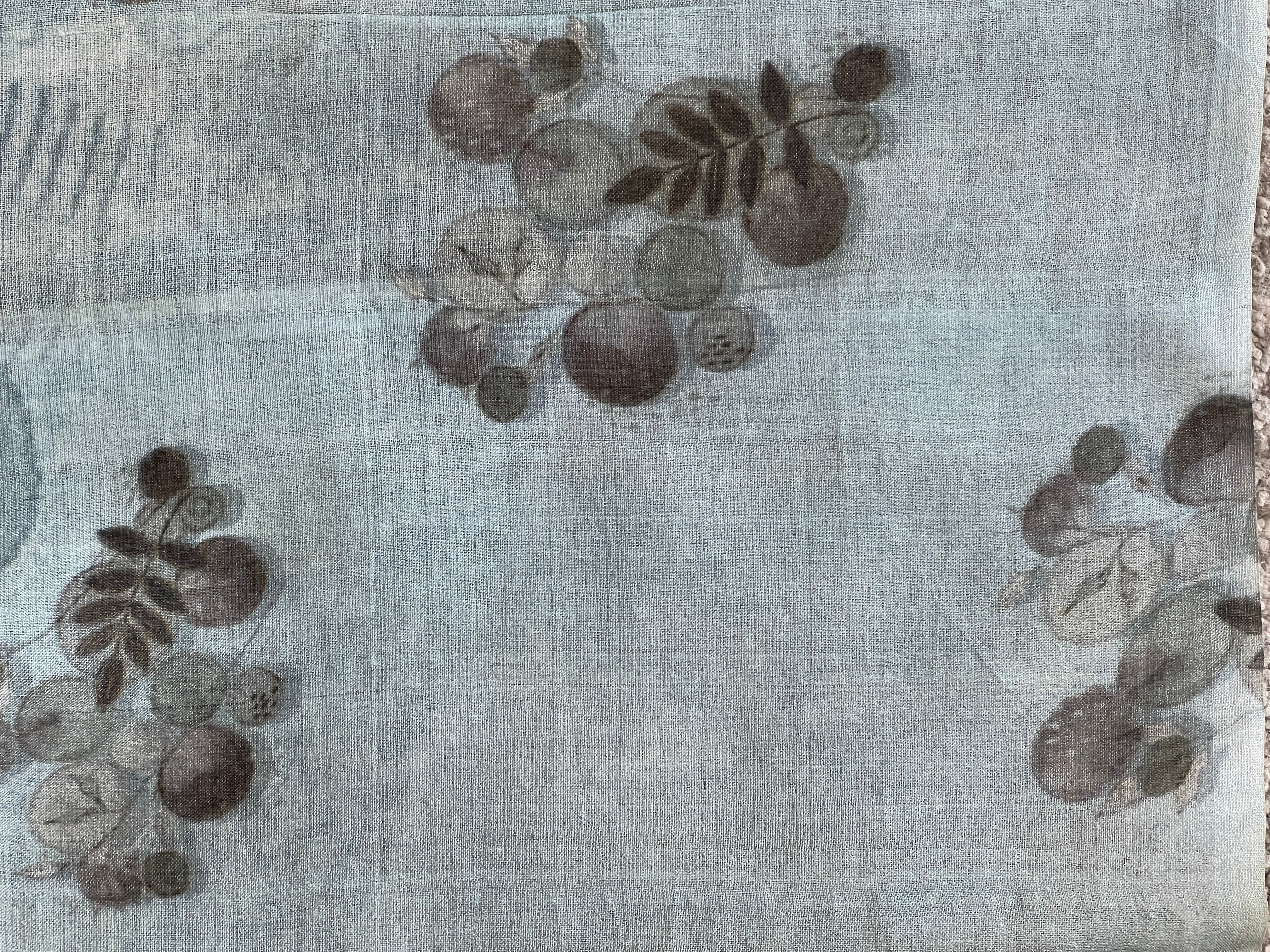 Digital Print Pattern Tussar Saree | COC119