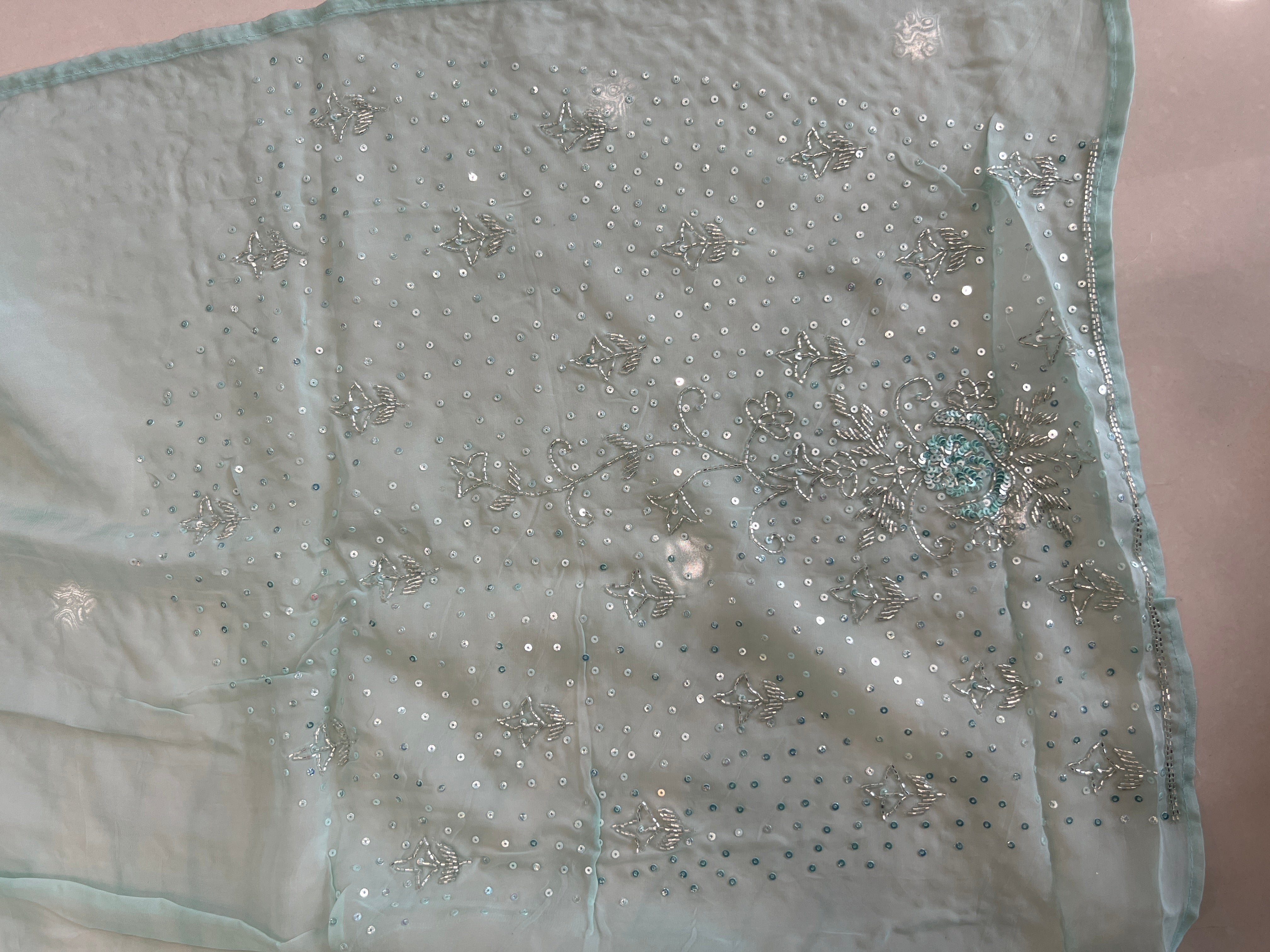 Embroidered Pattern Organza Saree | SBP784