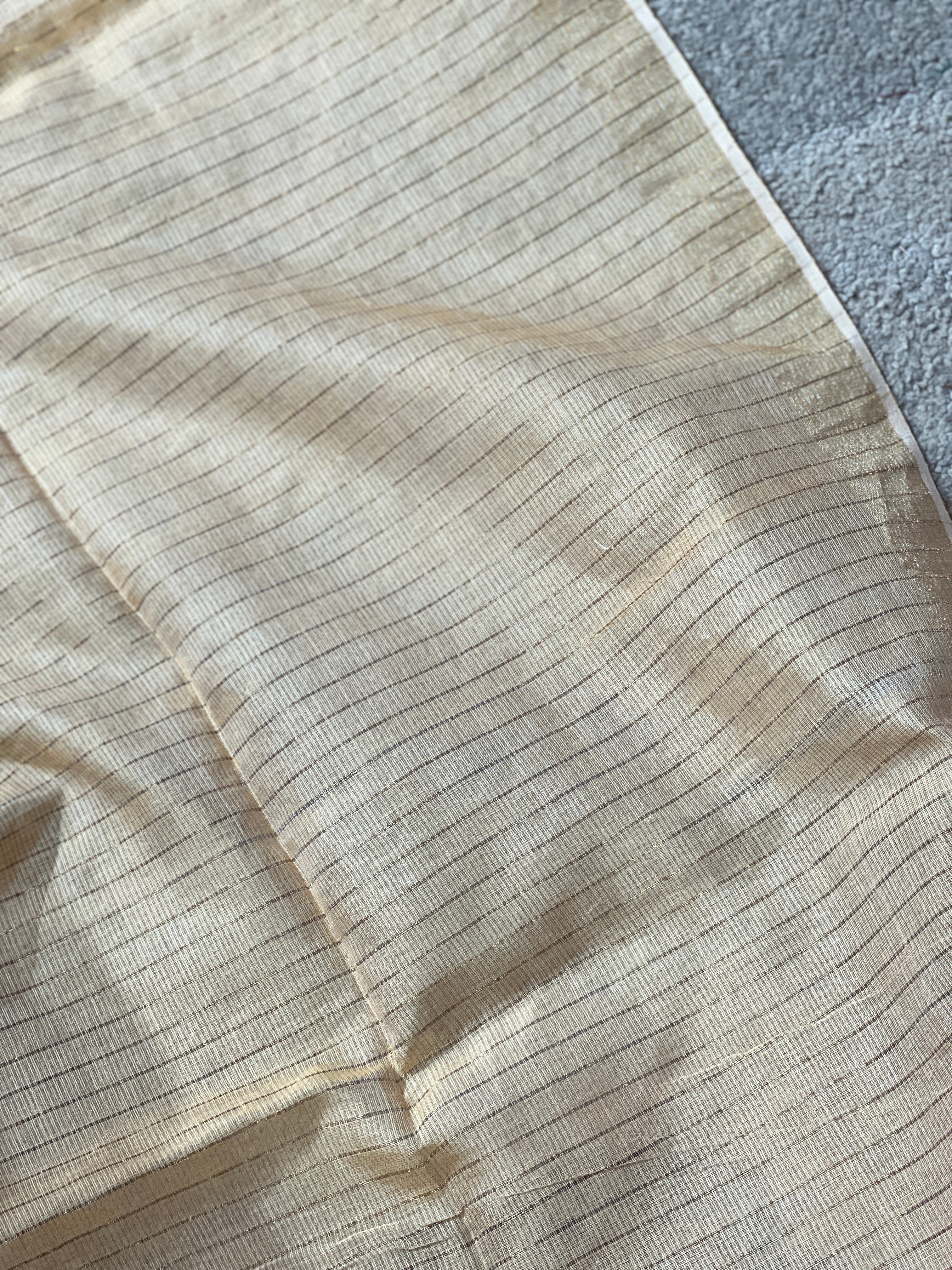 Jamdani Weaved Silk Organza Saree | RGD667