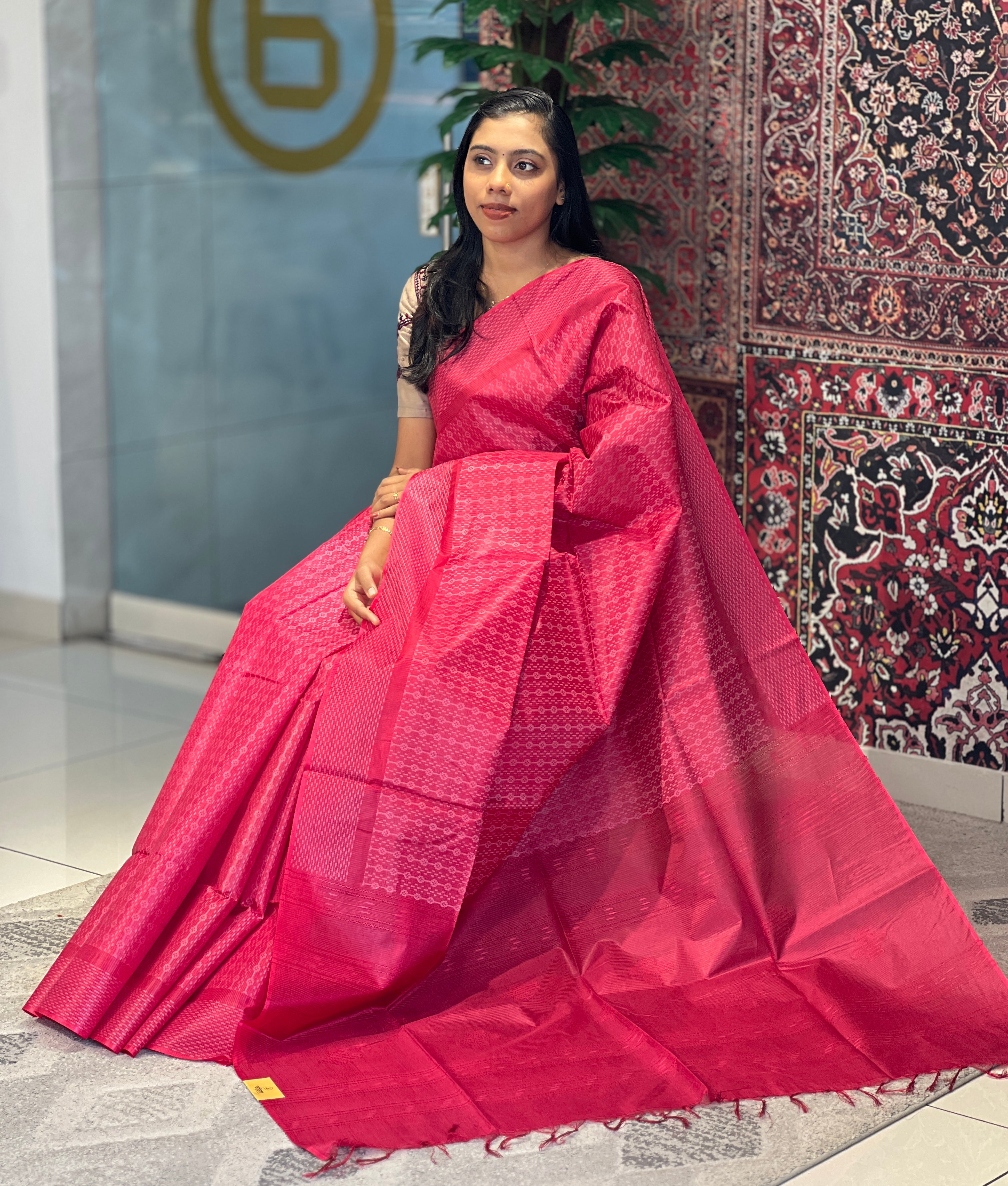 Geometric Weaving Patterned Tussar Finish Saree | PNS101