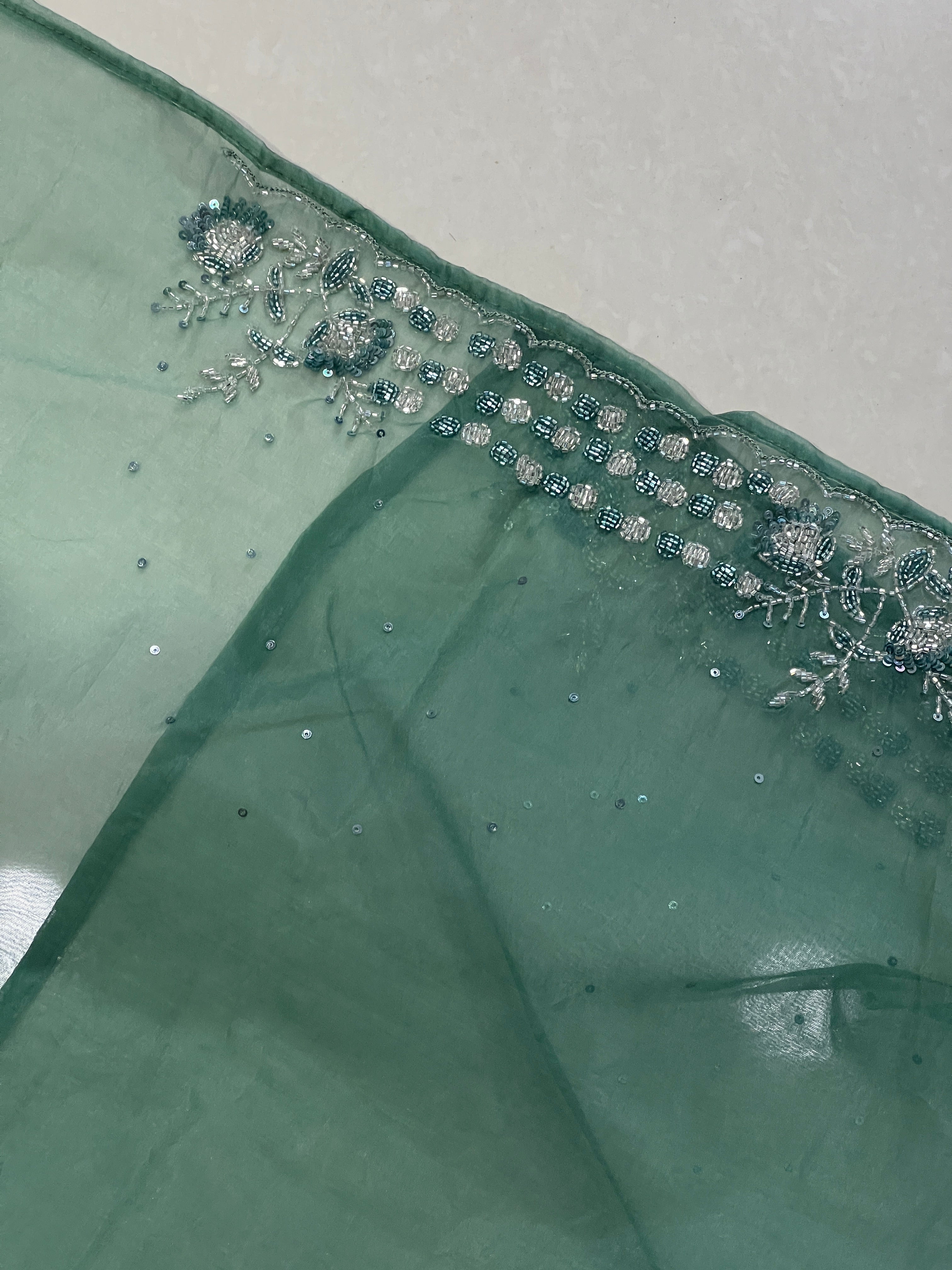 Cut Beads & Sequence Worked Organza Saree | SBP959