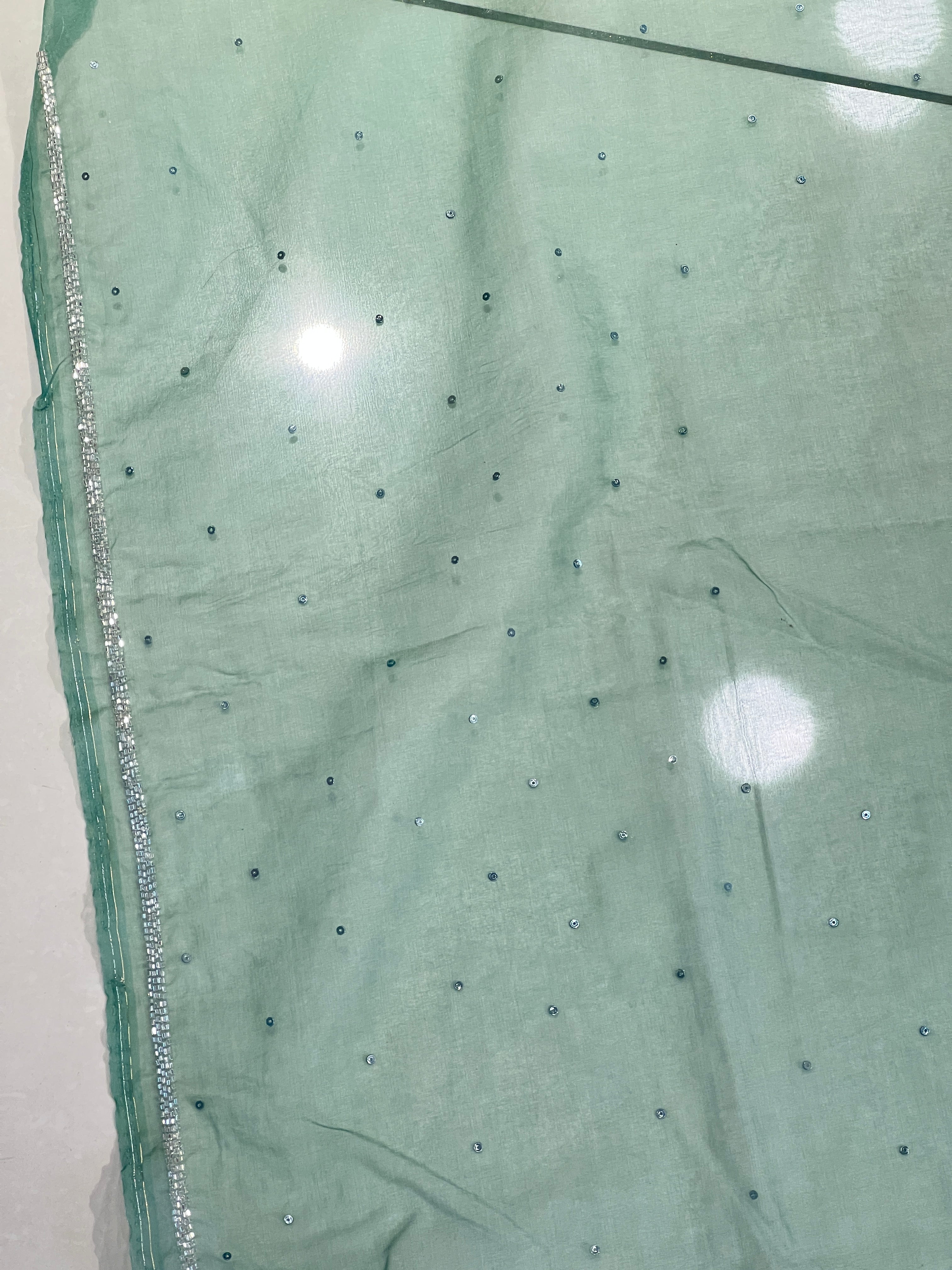 Cut Beads & Sequence Worked Organza Saree | SBP959