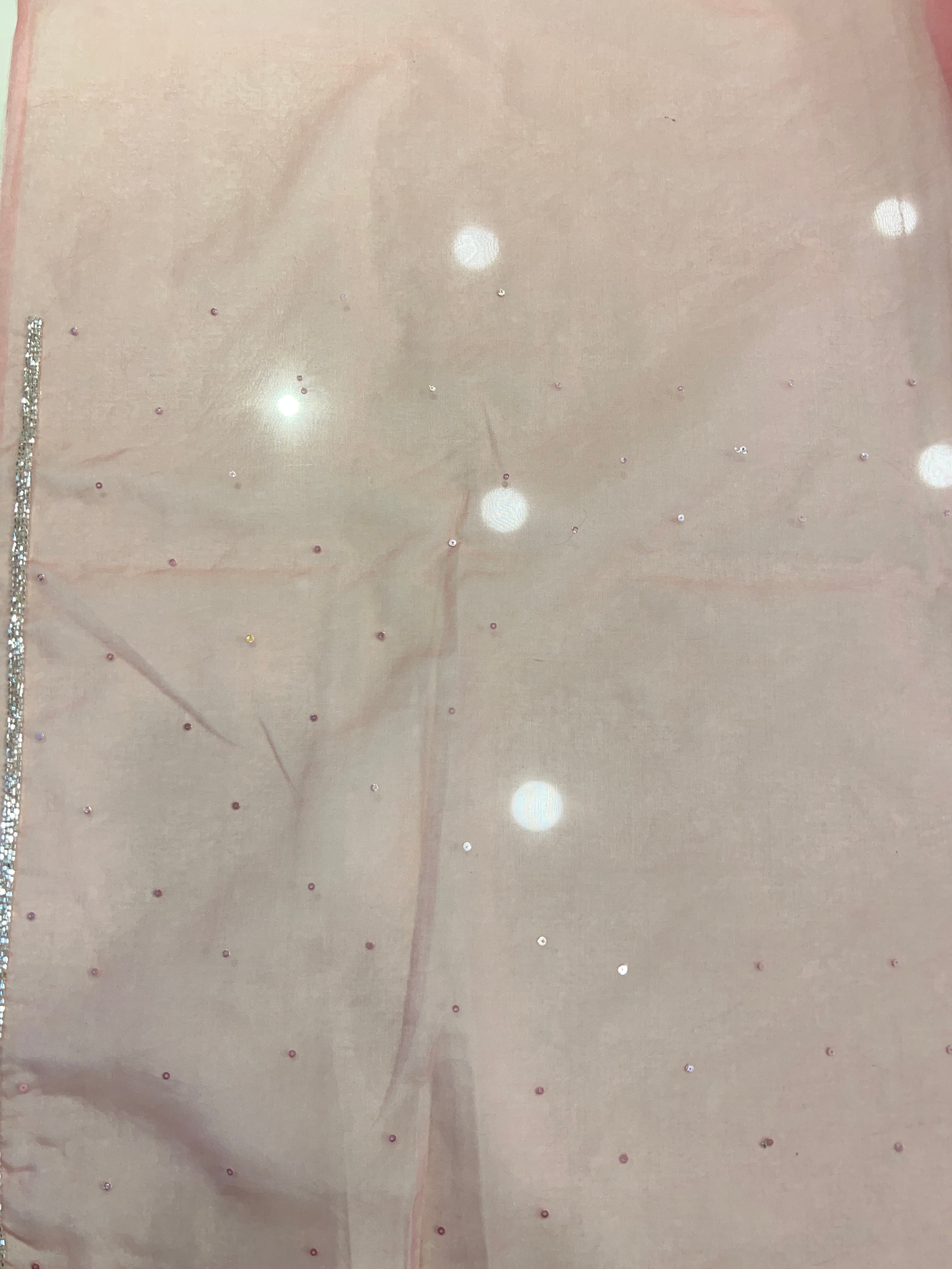 Cut Beads & Sequence Worked Organza Saree | SBP961