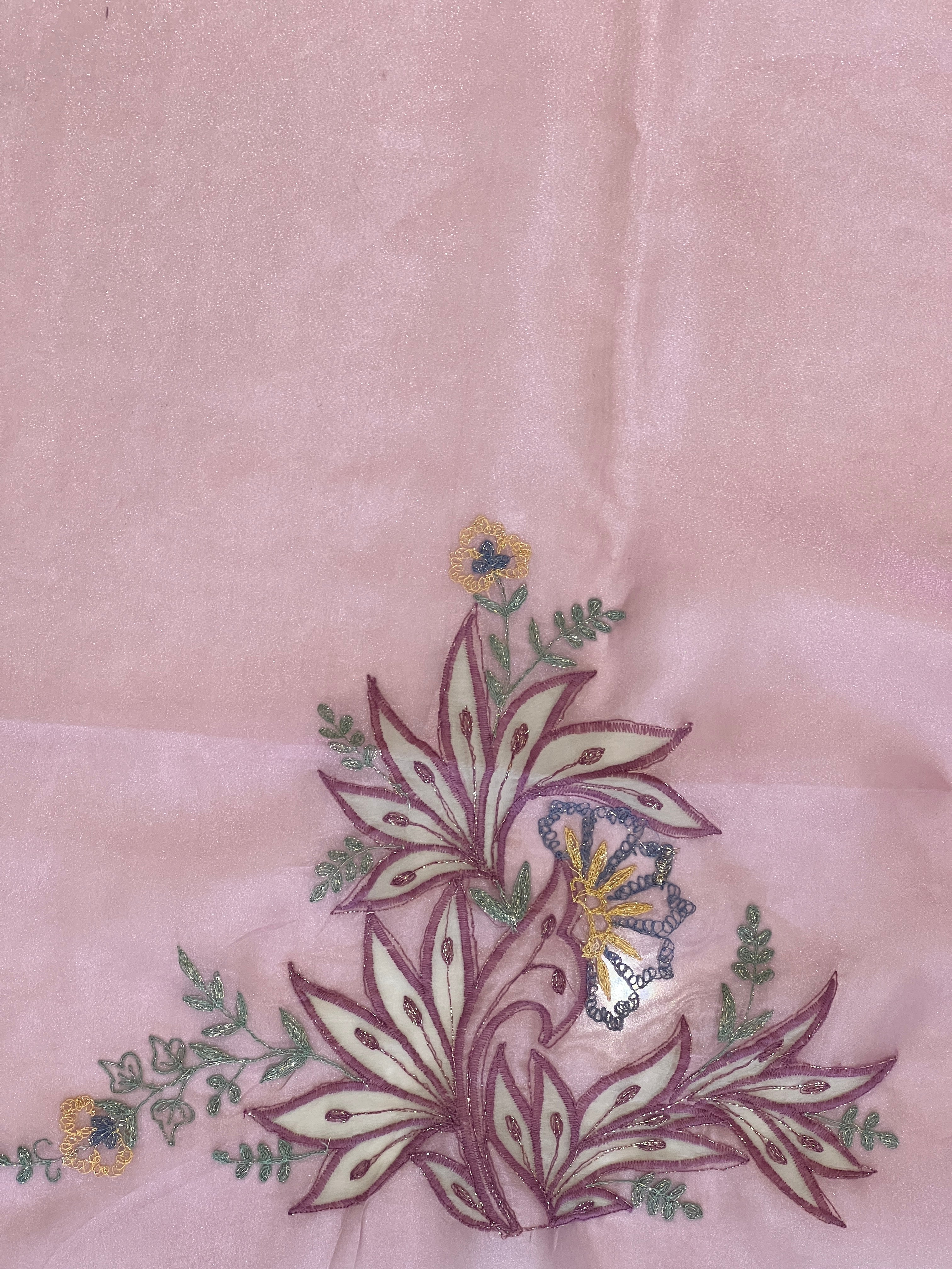 Applique Detailed Shimmer Organza Saree | BLD1579