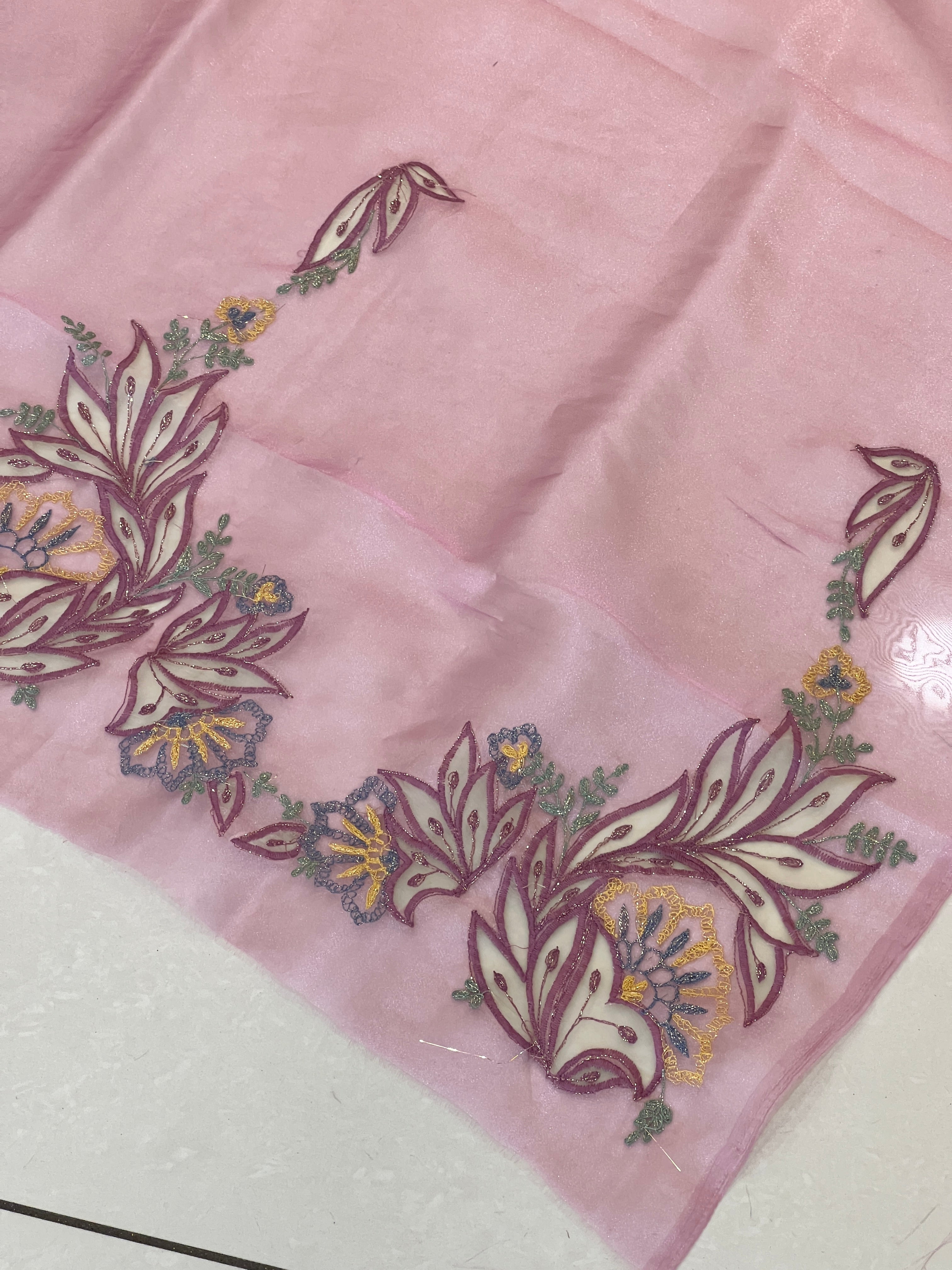 Applique Detailed Shimmer Organza Saree | BLD1579