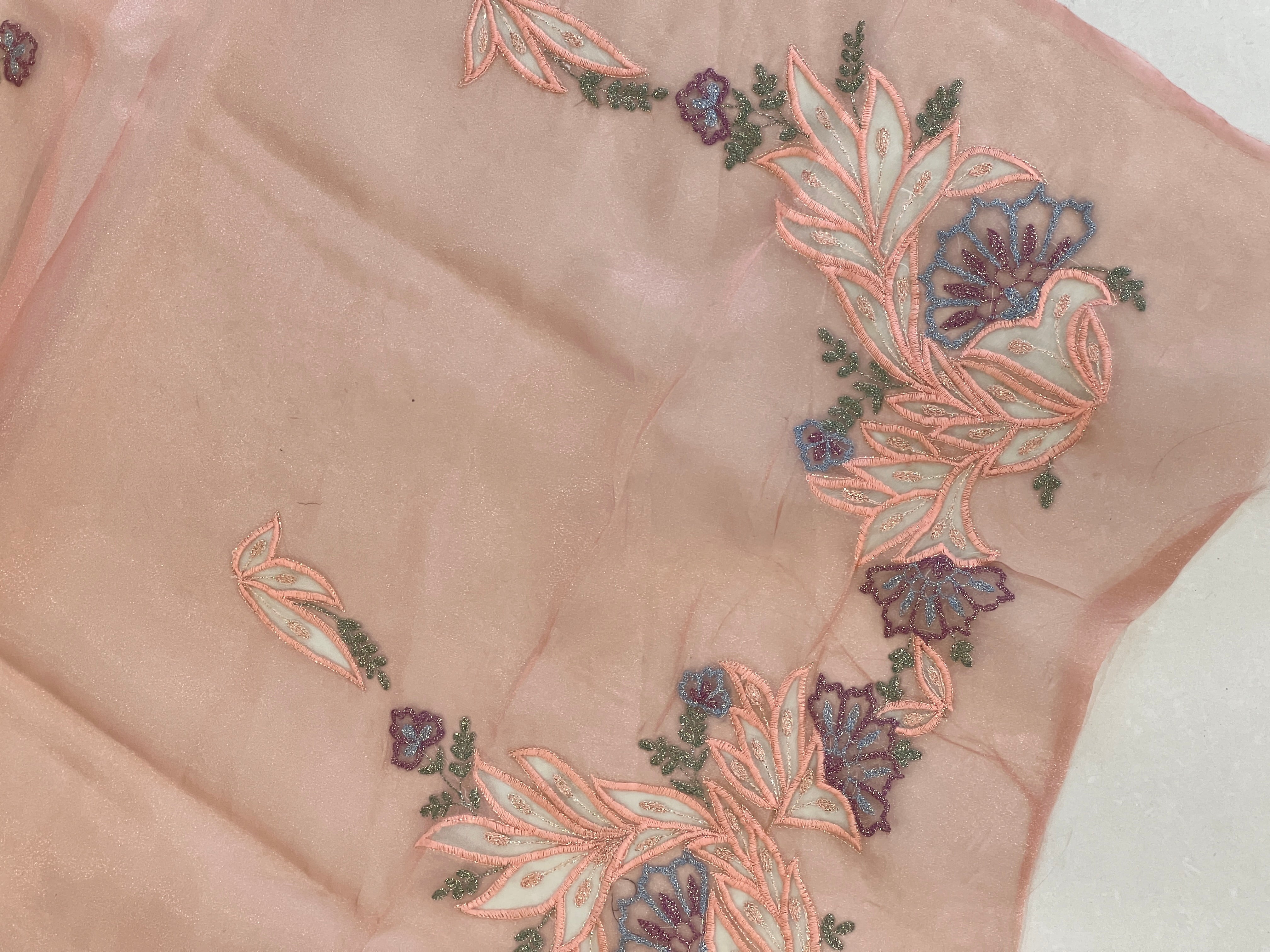 Applique Detailed Shimmer Organza Saree | BLD1578