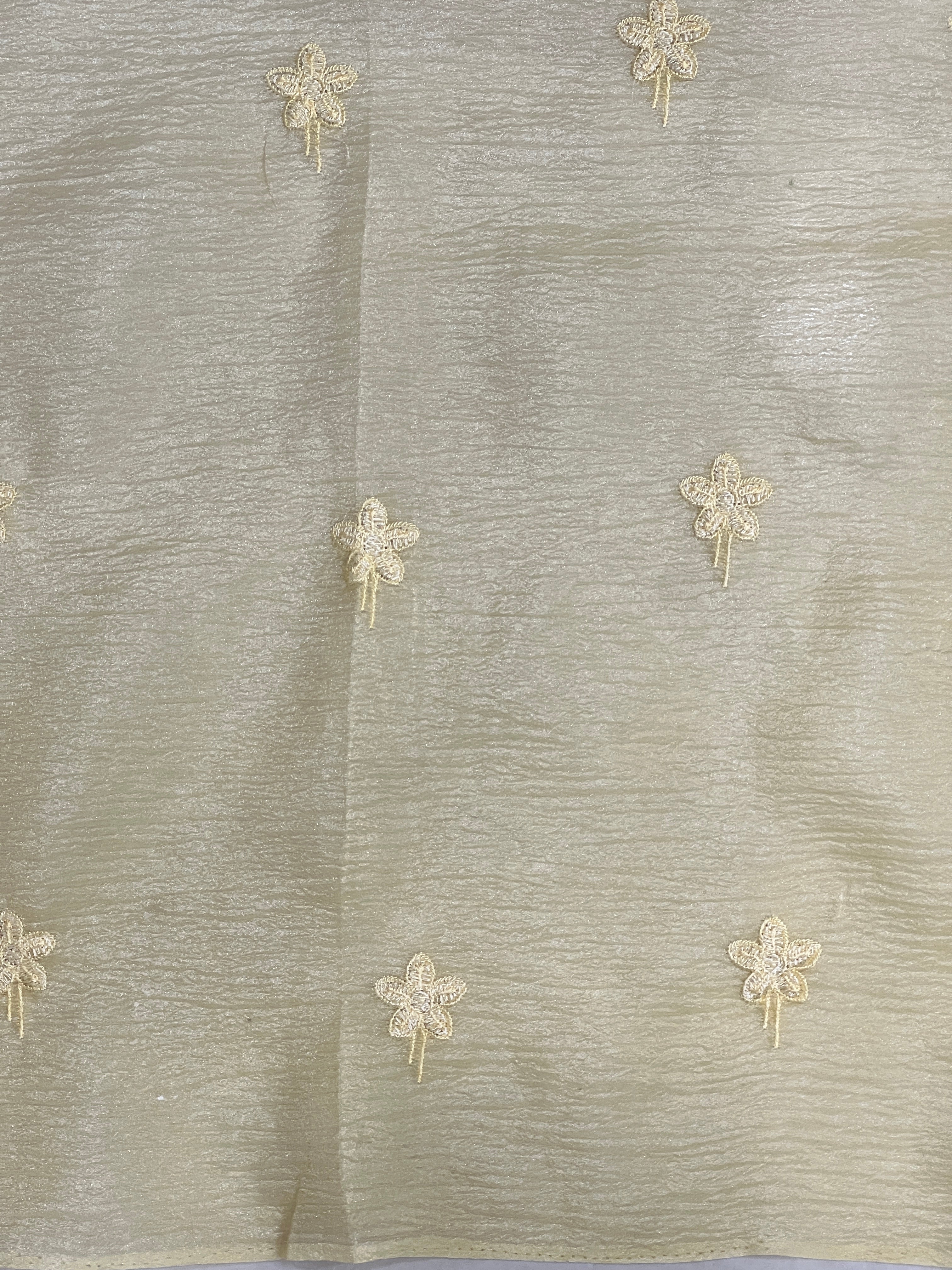 Machine Embroidery Detailed Crushed Organza Saree | BLD1657