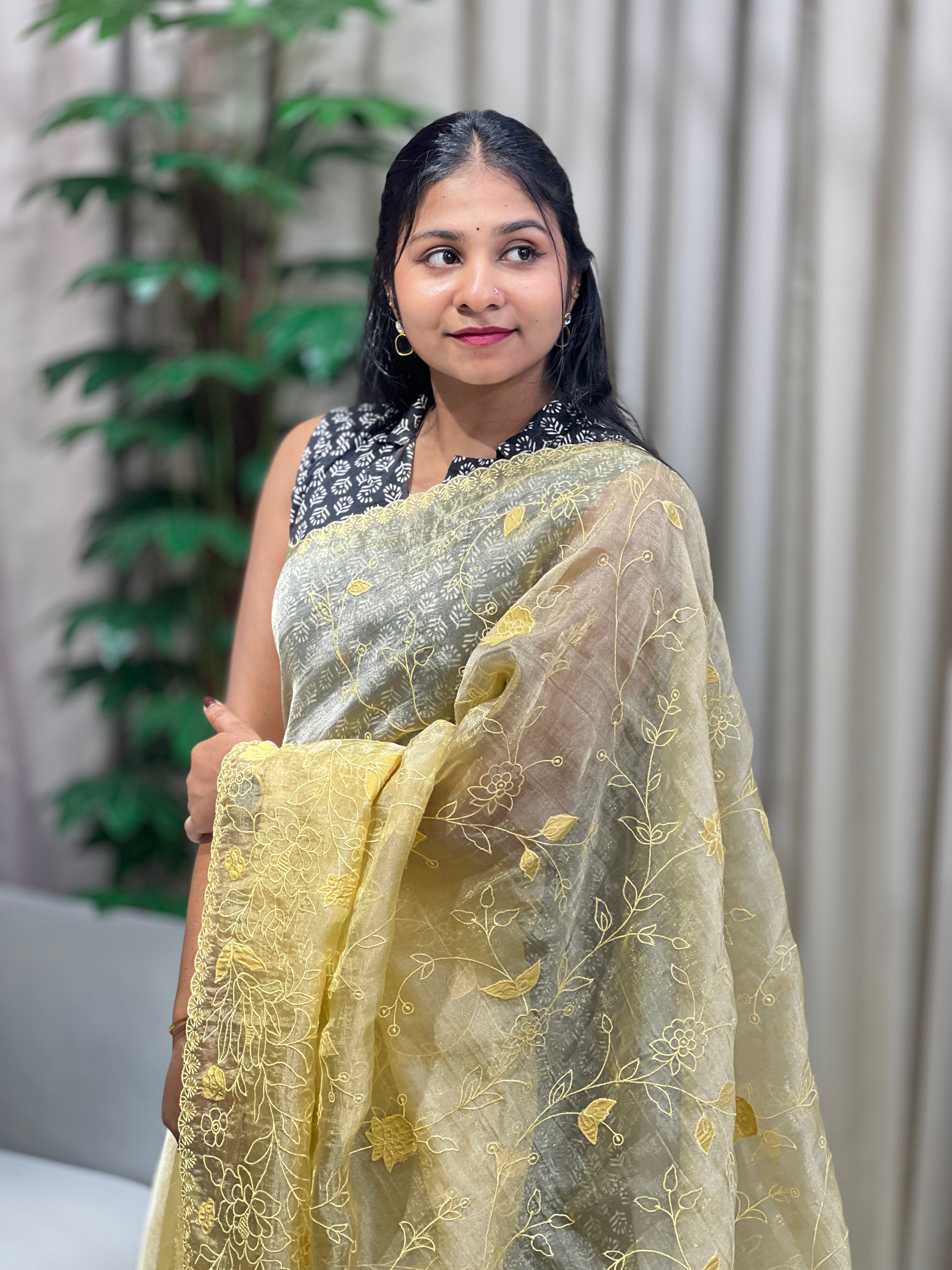 Applique Detailed Shimmer Organza Saree | BLD1709