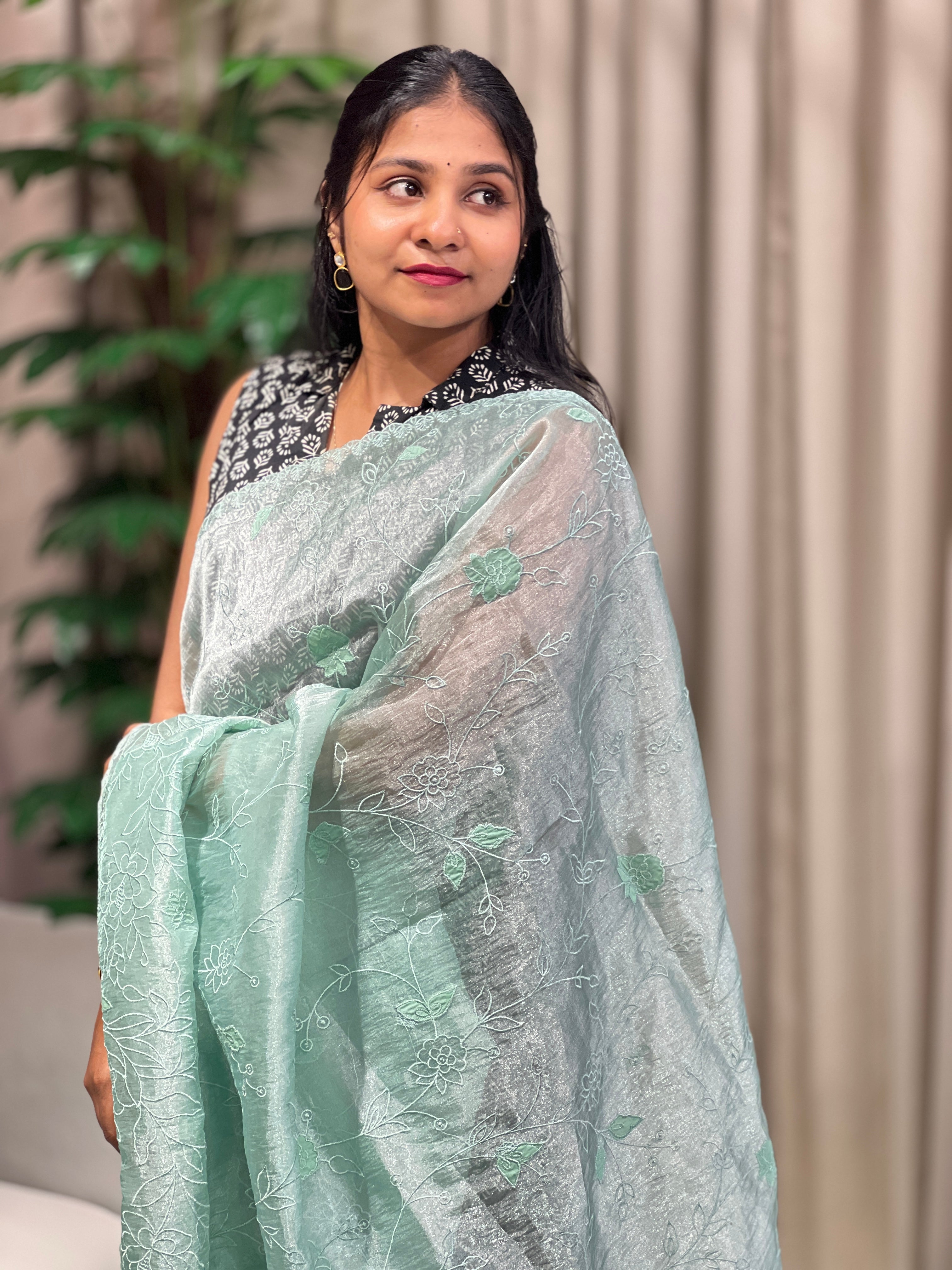 Applique Detailed Shimmer Organza Saree | BLD1707