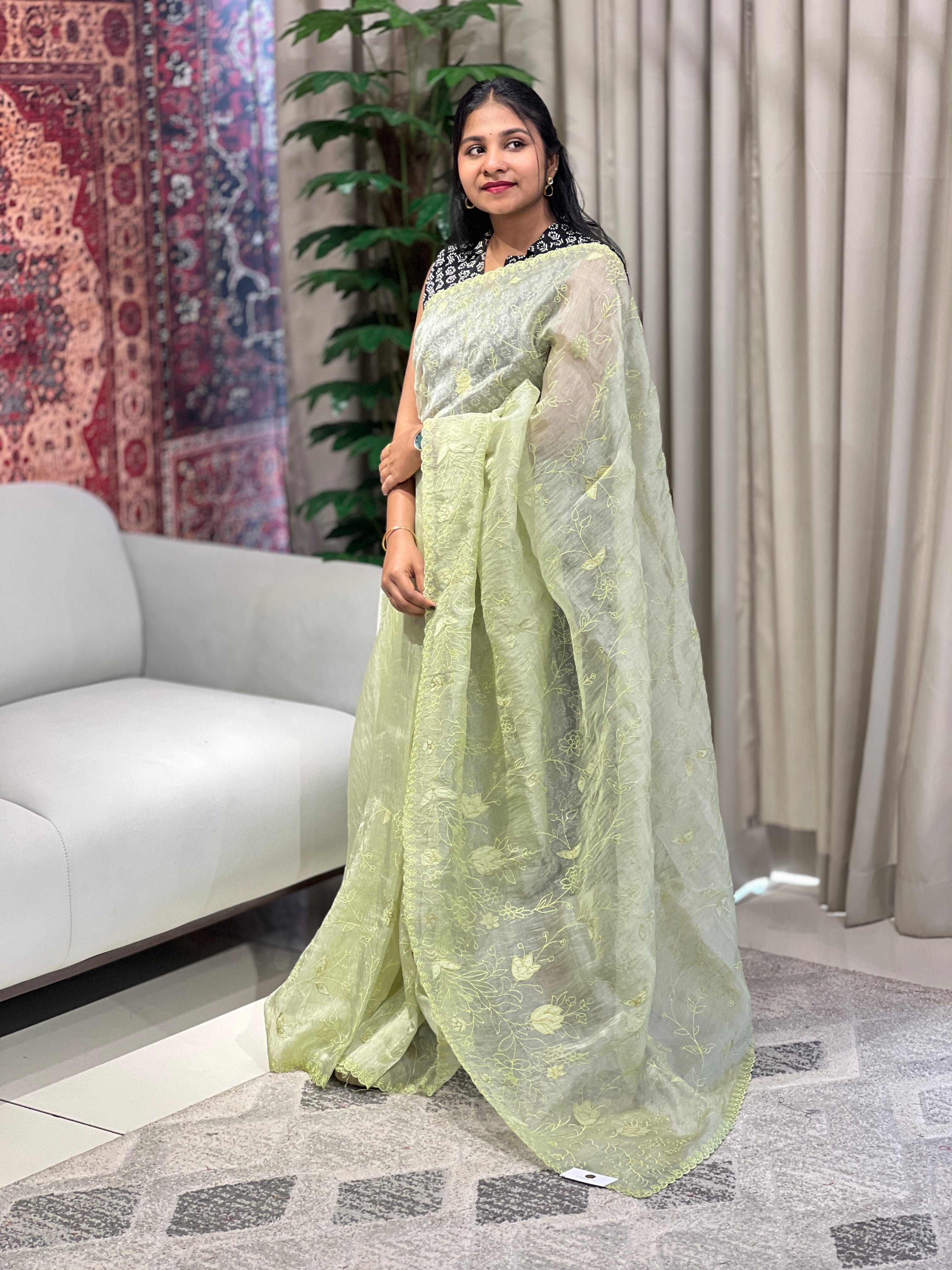 Applique Detailed Shimmer Organza Saree | BLD1711