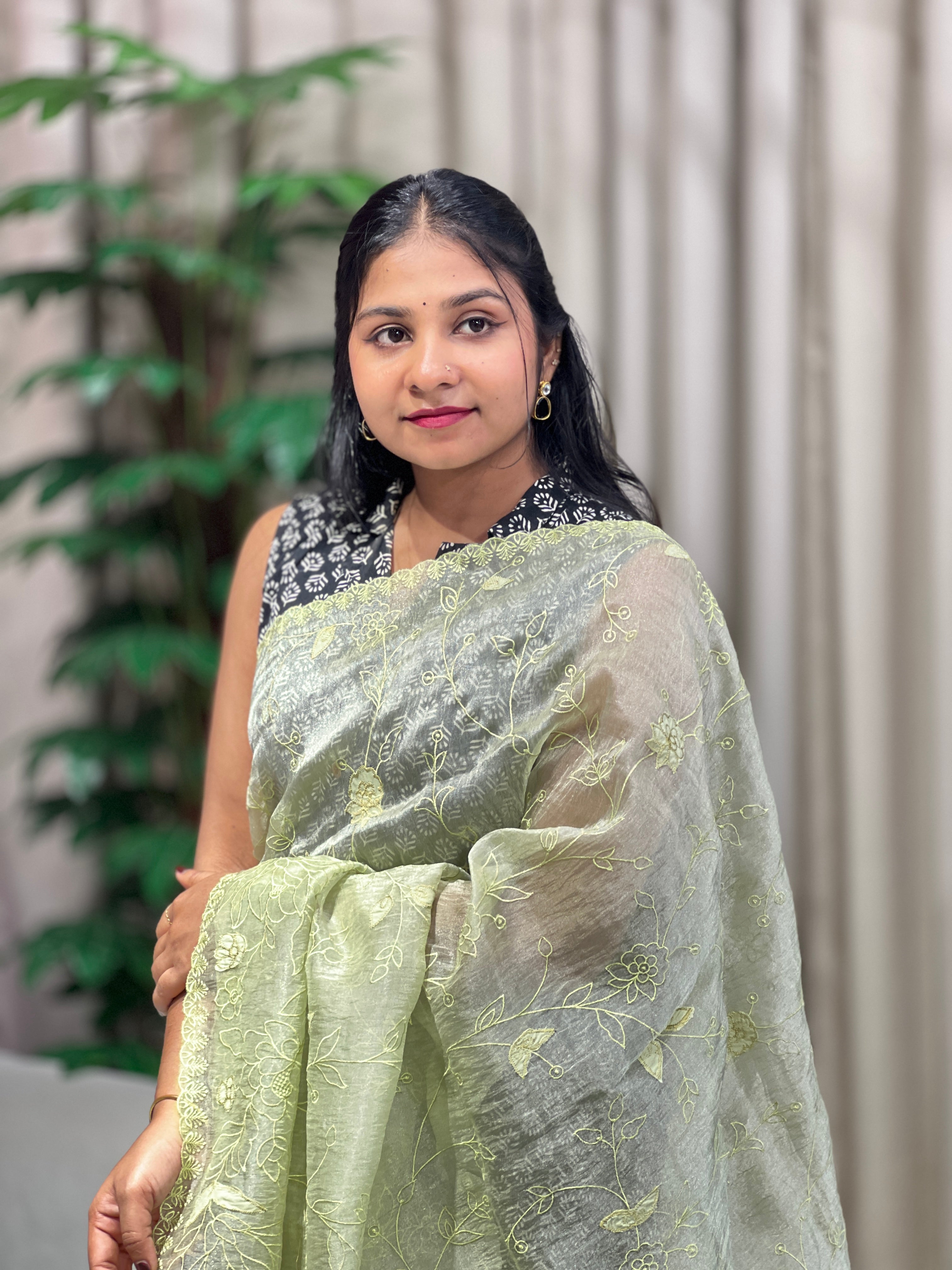 Applique Detailed Shimmer Organza Saree | BLD1711