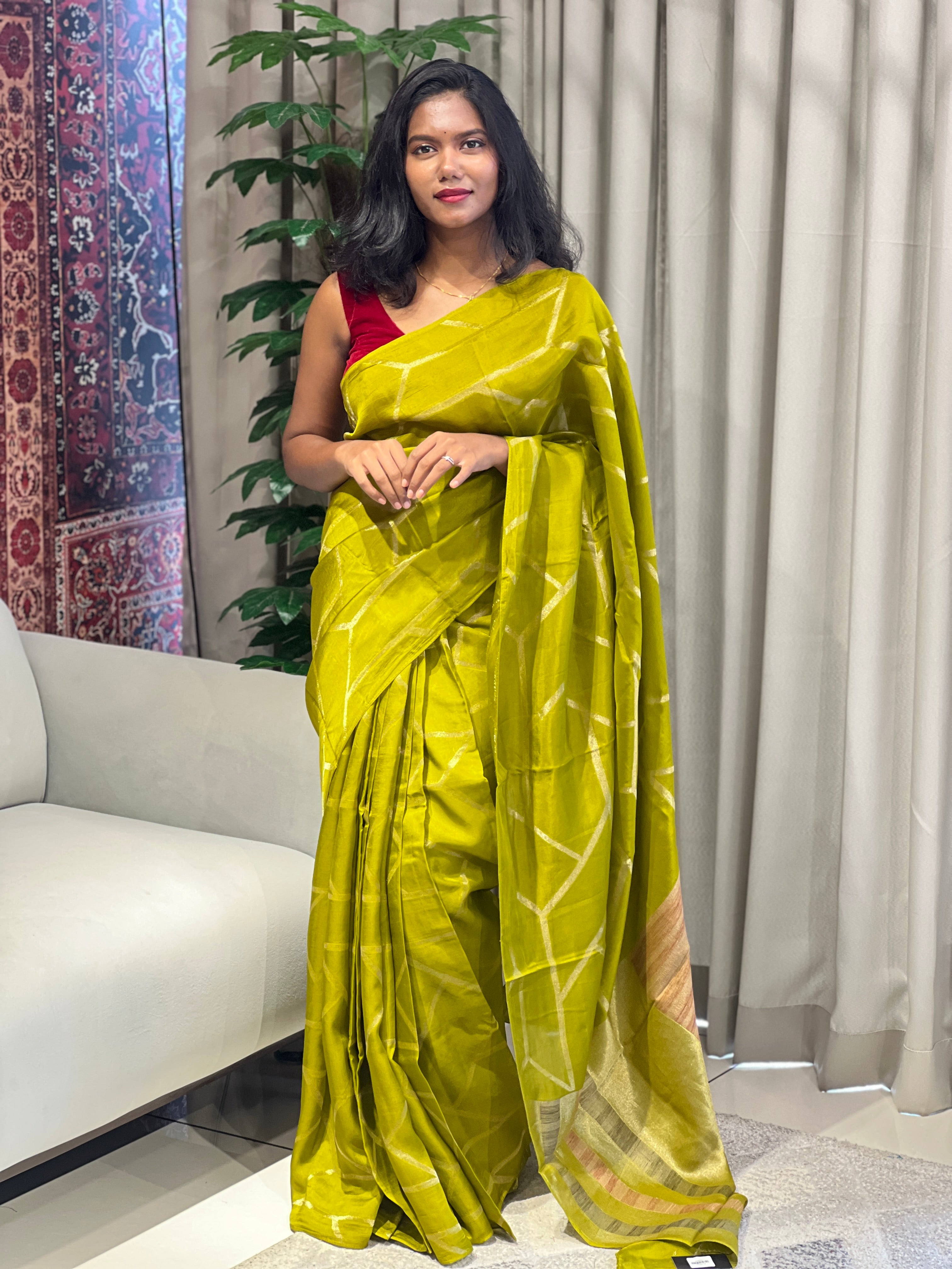 Zari Woven Geometric Patterned Banarasi Silk | YNG639