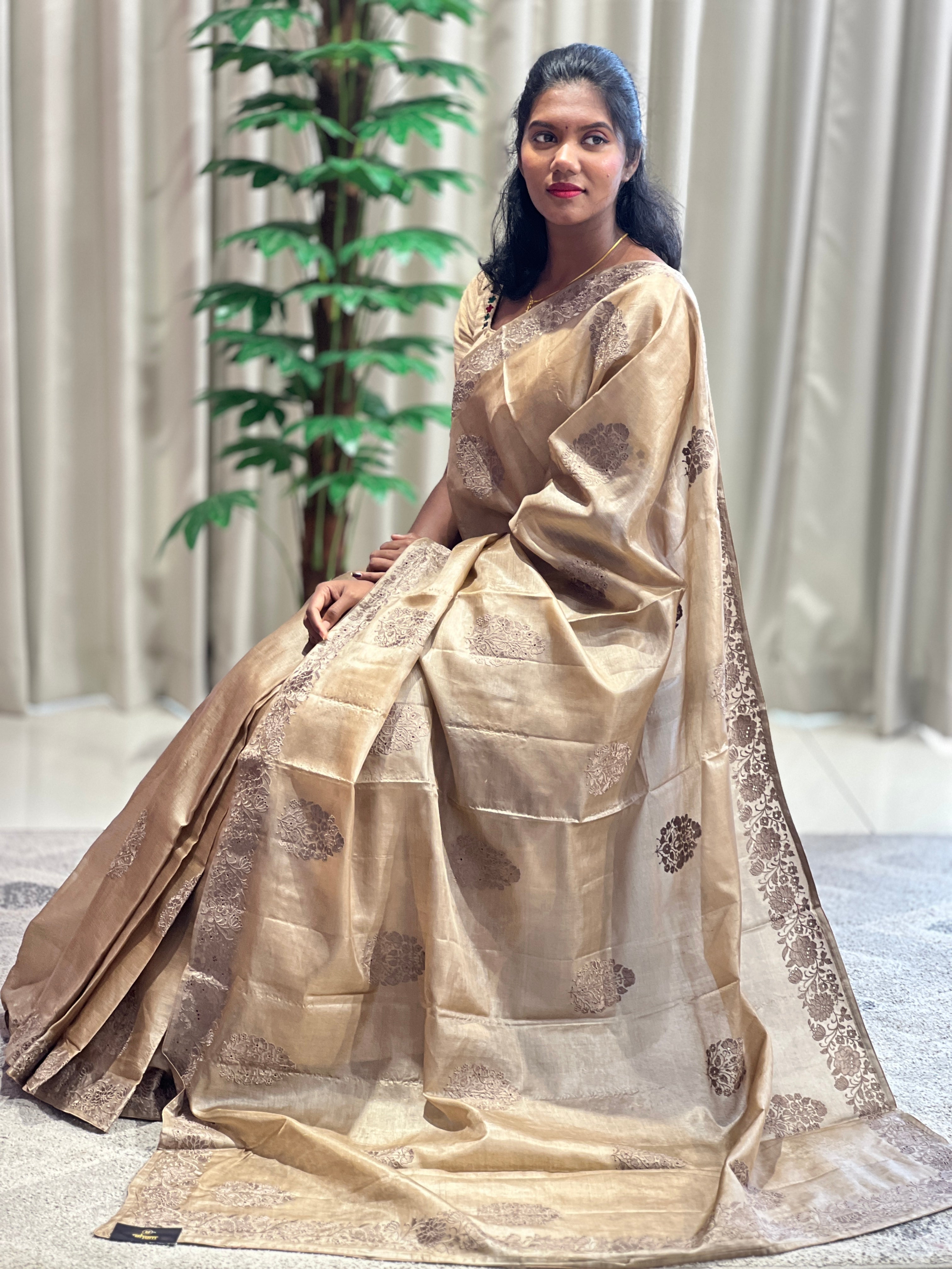 Machine Embroidery Detailed Tussar Saree | YNG572