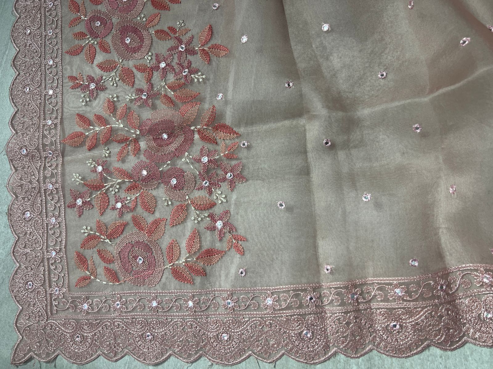 Floral Embroidery Detailed Organza Saree | RGD593