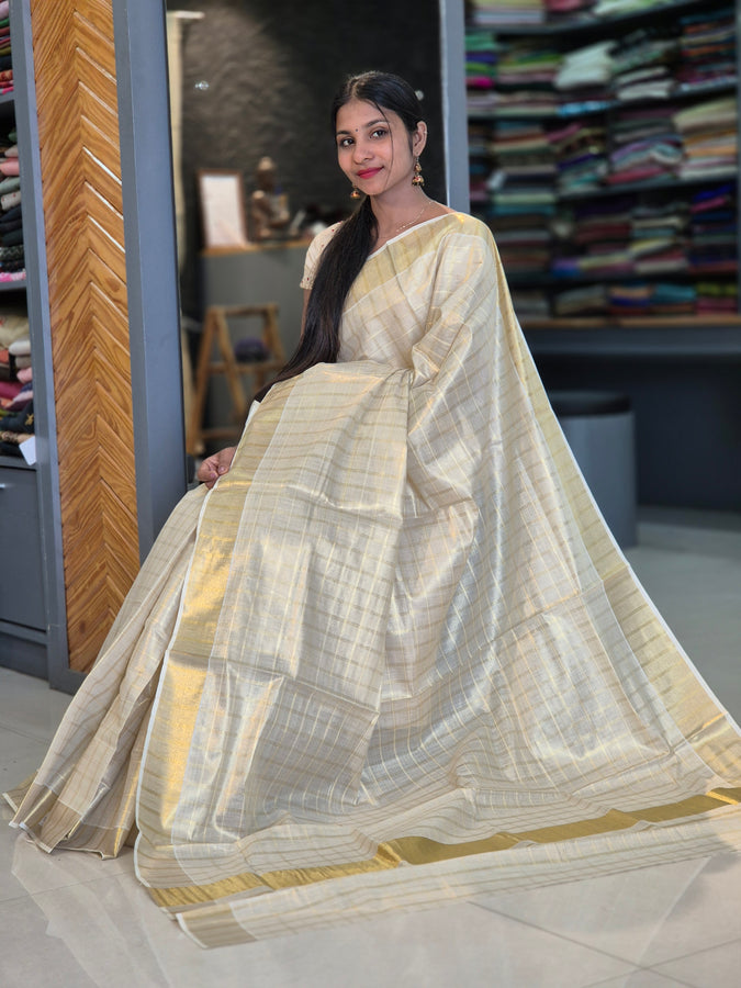 Check Weaving Tissue Saree | GAT180