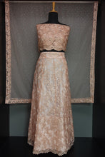 Party Wear Embroidery Net Semi Lehanga | SBP195
