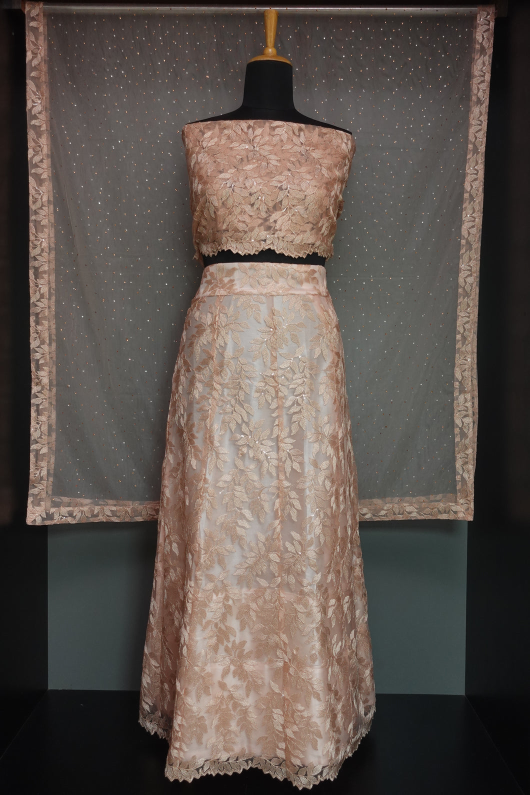 Party Wear Embroidery Net Semi Lehanga | SBP195