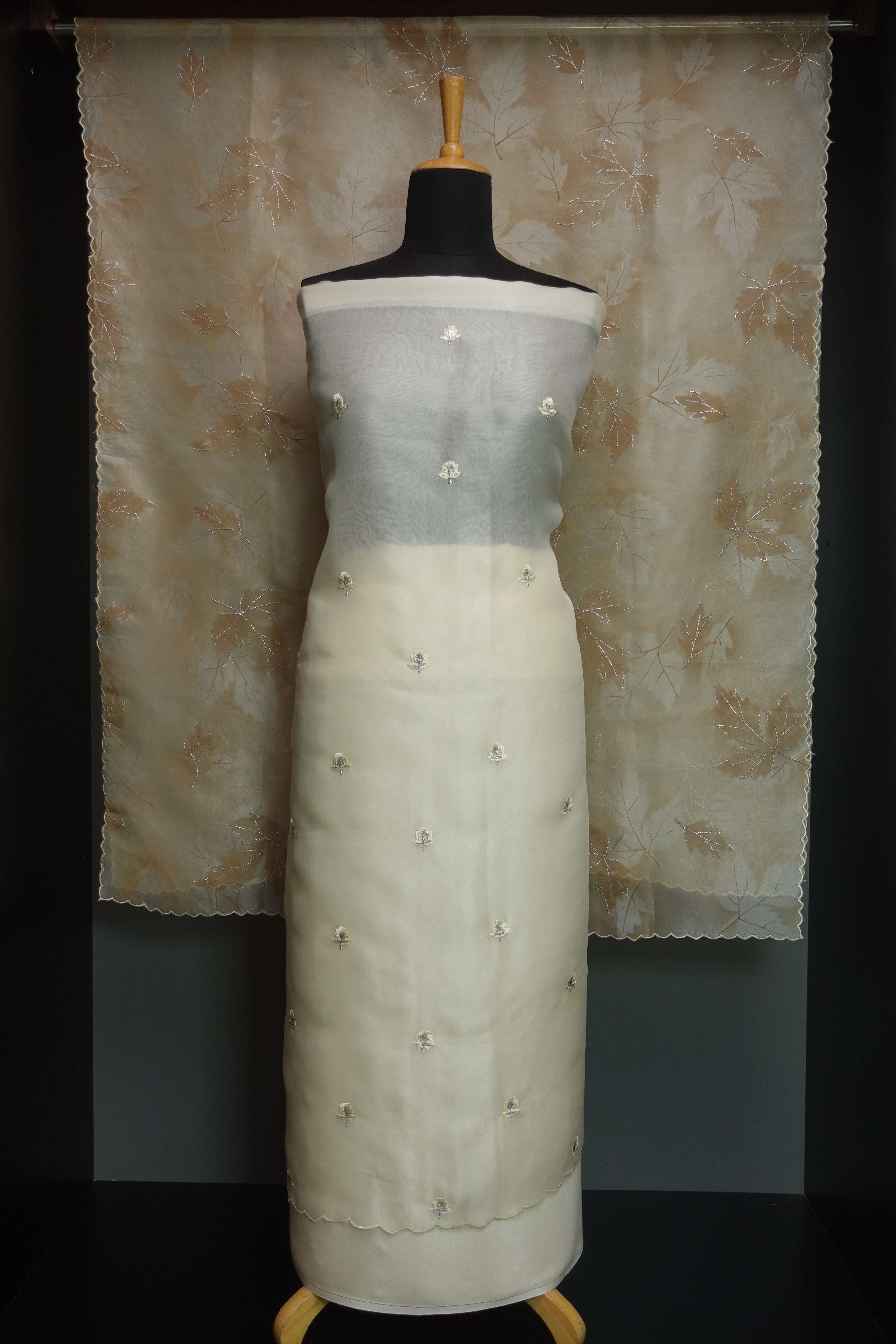 Floral Embroidered Tussar Organza Salwar Set | SBS925