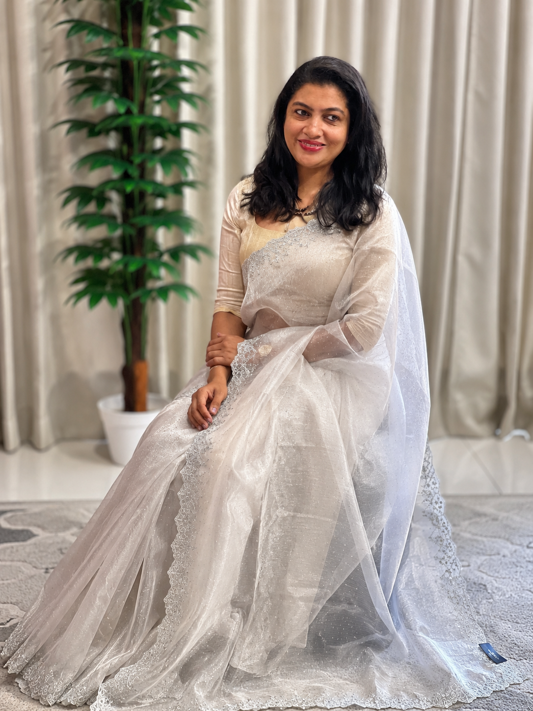 Embroidered Pattern  Crushed  Shimmer Organza Saree |  SBP954