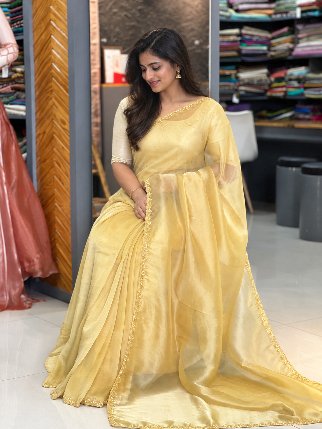 Hand Embroidery Border Pattern Organza Saree | ISP119