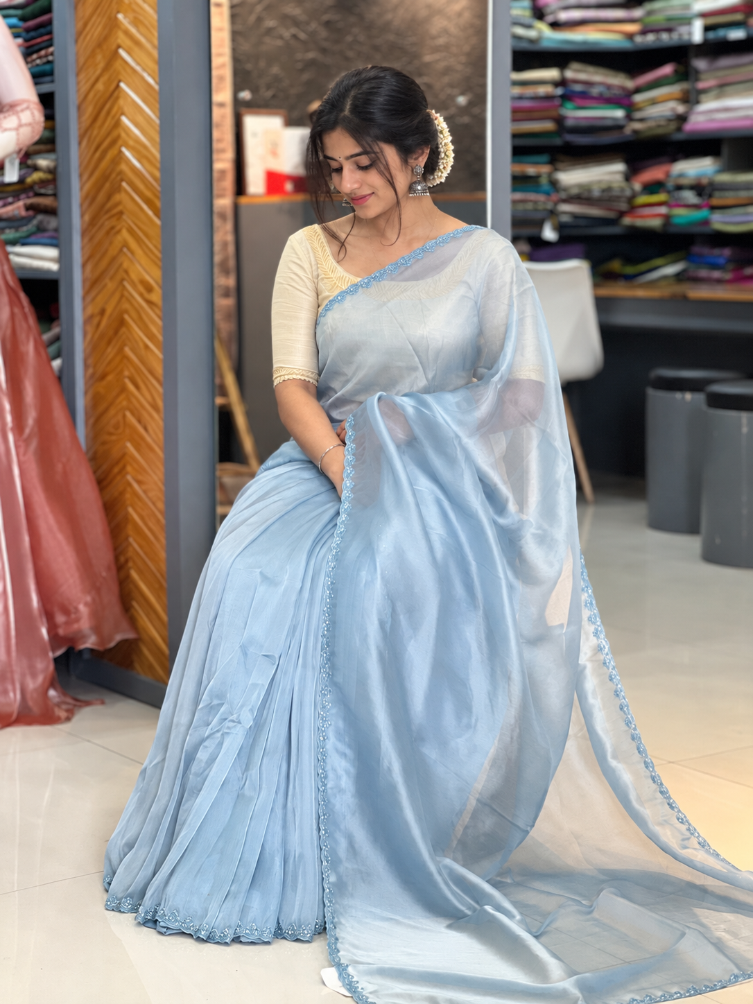 Hand Embroidery Border Pattern Organza Saree | ISP119