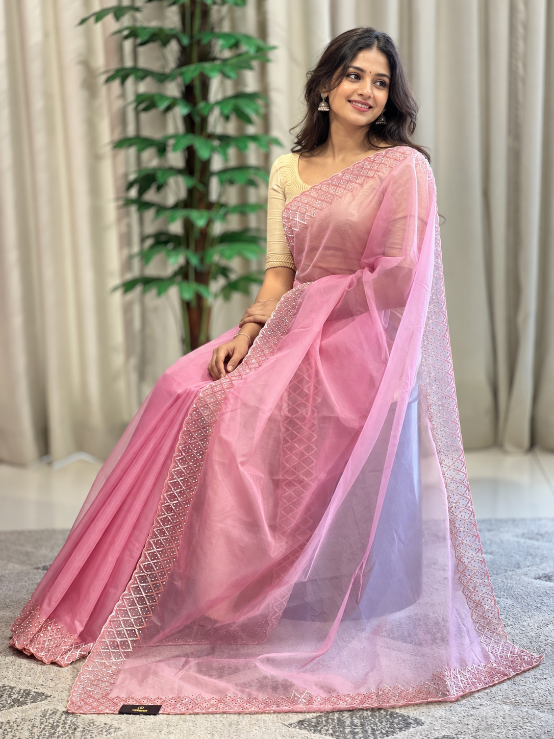 Embroidery Pure Organza Saree | SBP853
