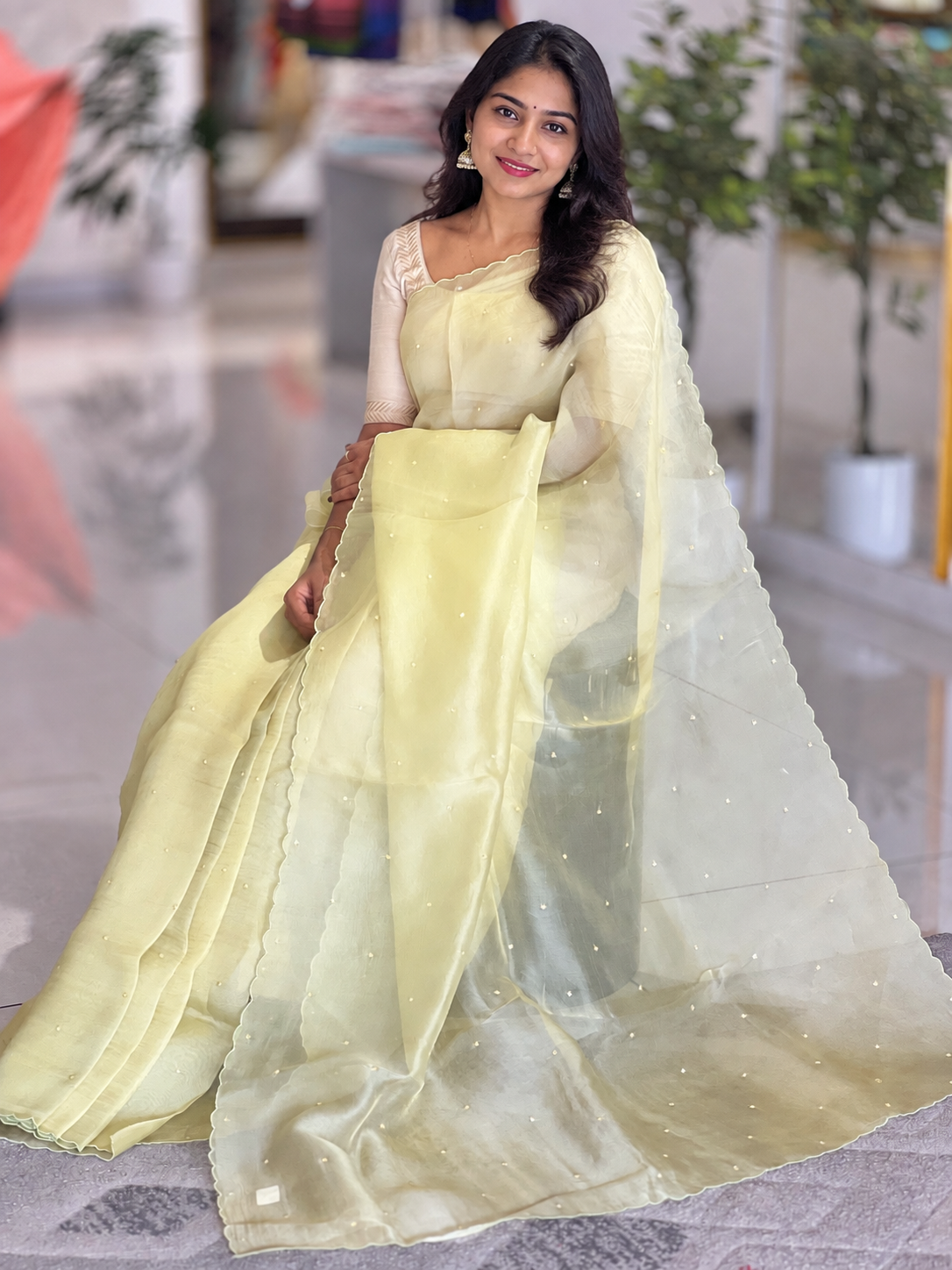 Embroidery Detailed Organza Saree | SBS380