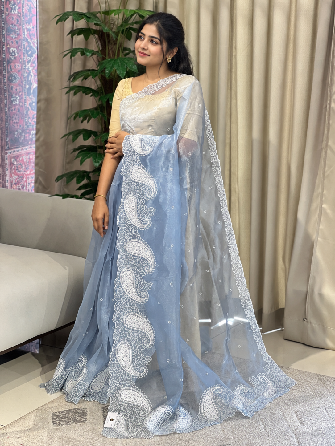 Point Embroidery Detailed Organza Saree | BLD1583