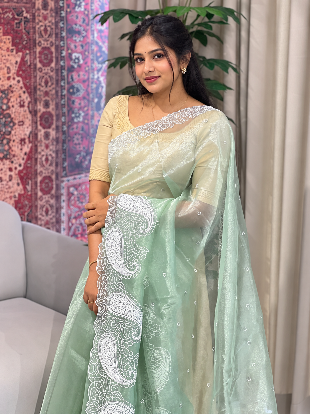 Point Embroidery Detailed Organza Saree | BLD1585