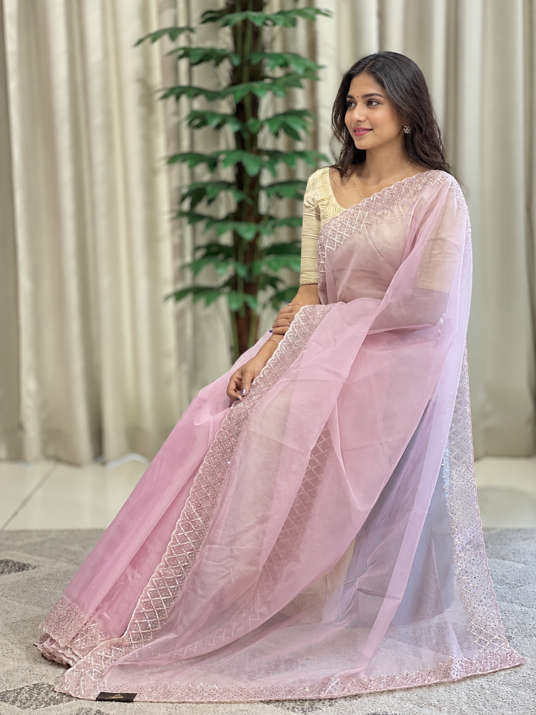 Hand Embroidery Pure Organza Saree | SBP856