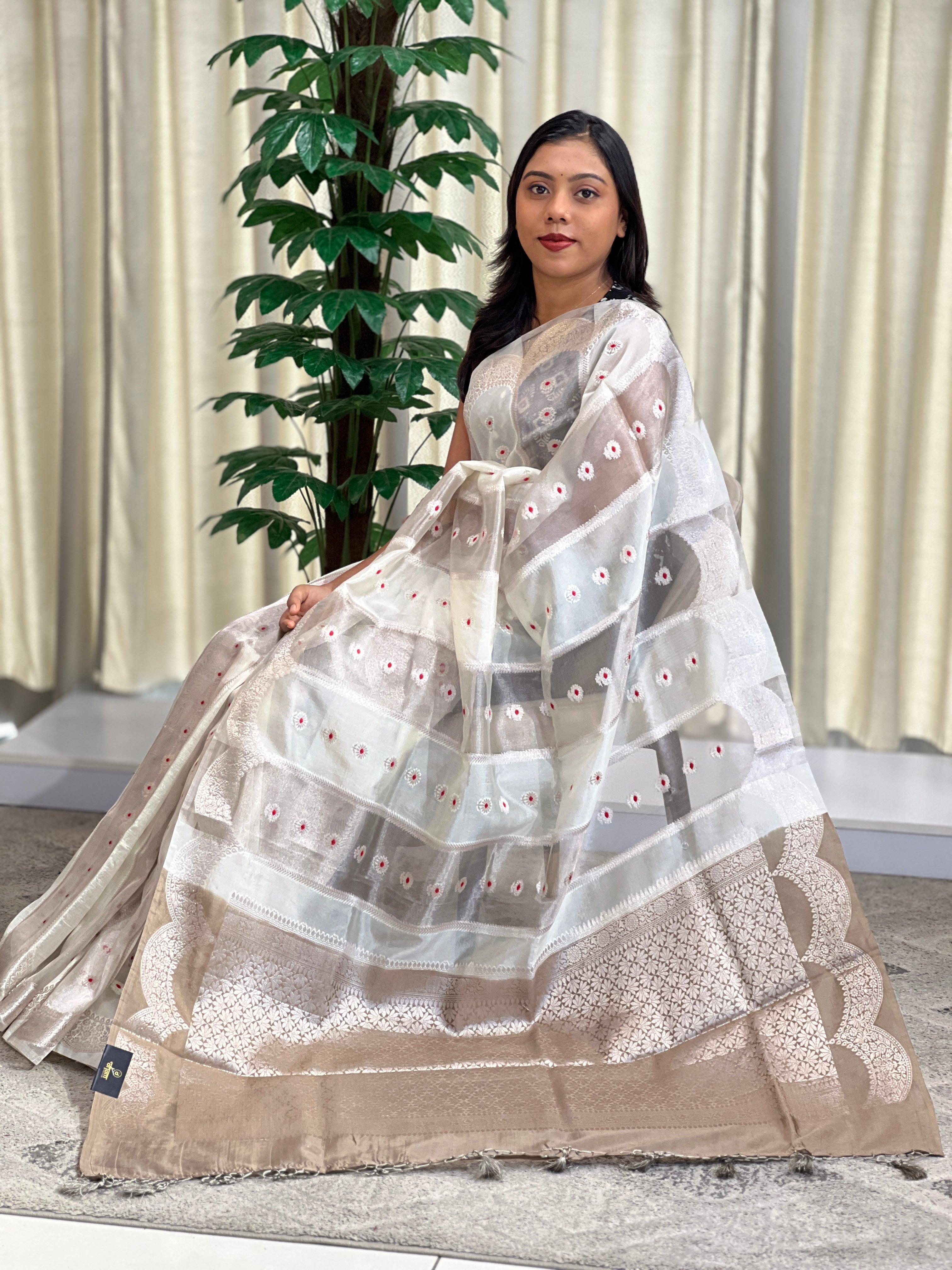 Scallop Pattern Organza Saree | MB135