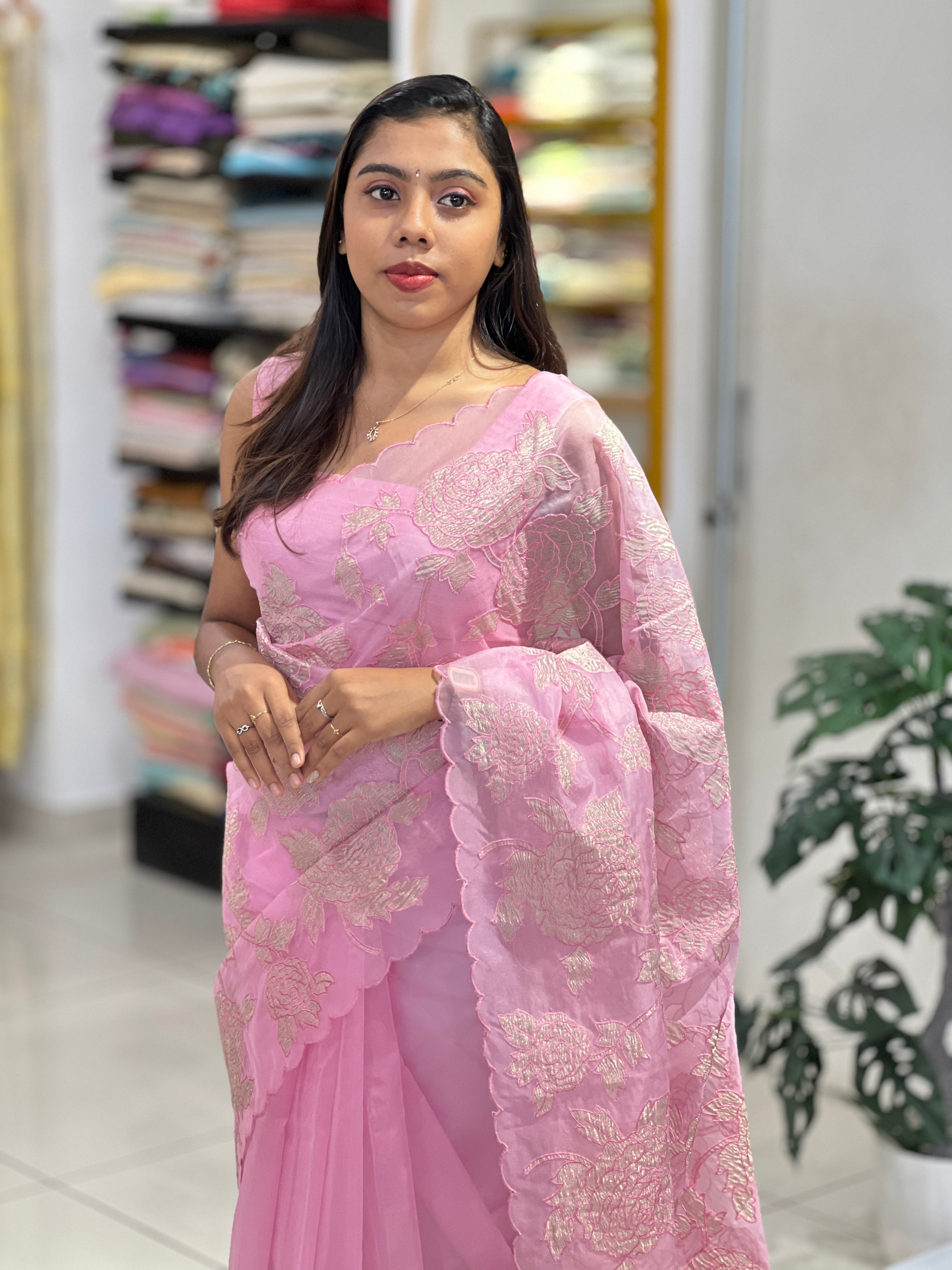 Tissue Applique Patterned Organza Saree | MM367