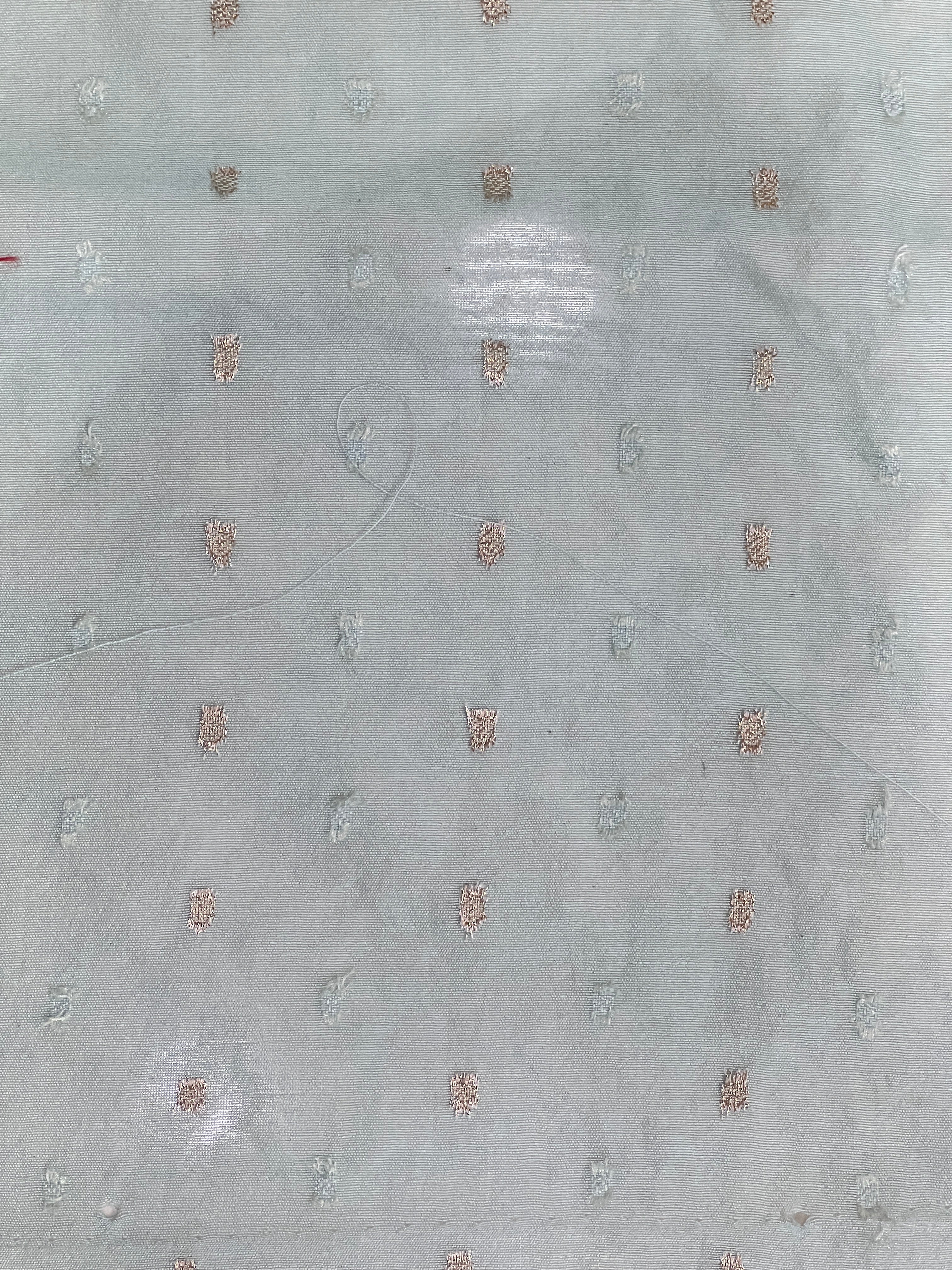 Floral Applique Patterned Organza Saree | MM355