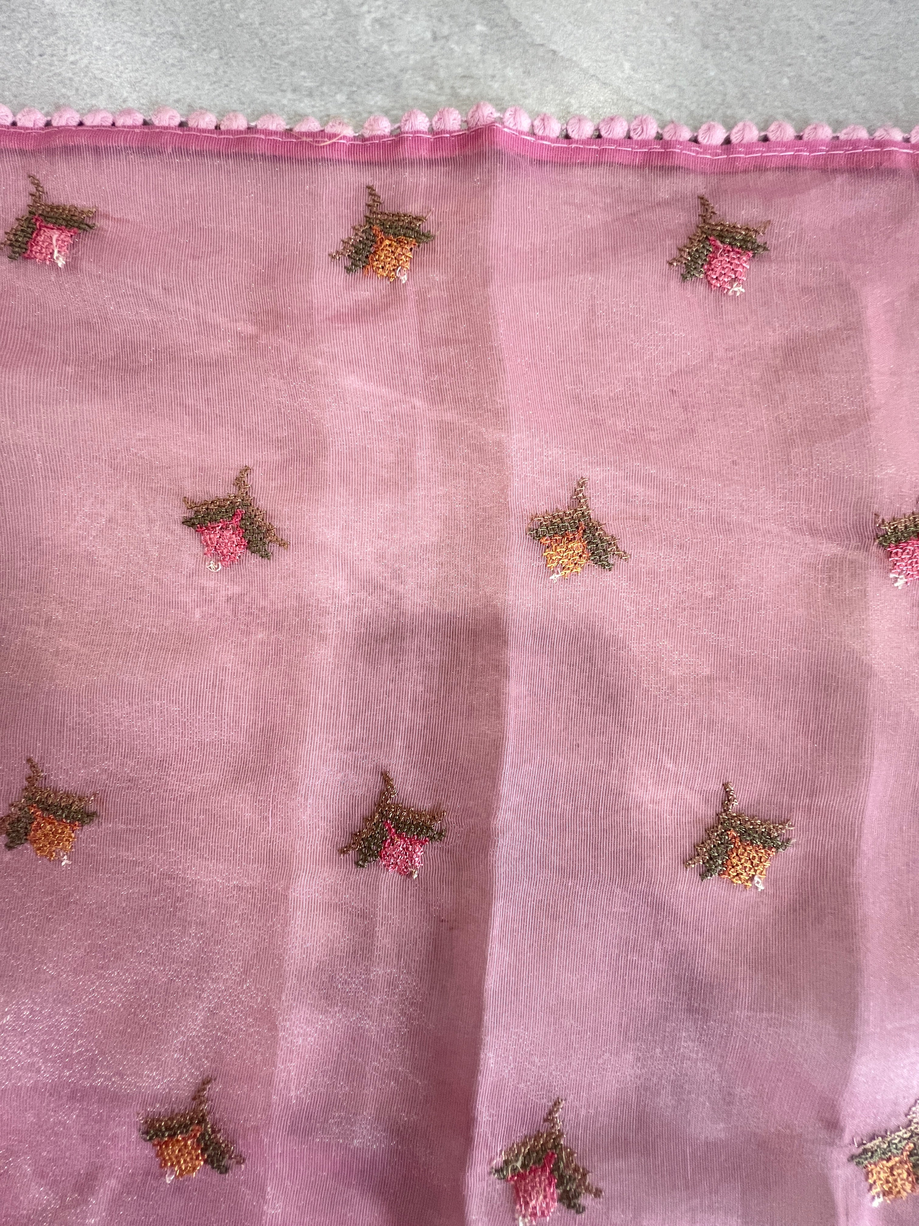 Cross Stitch Embroidered Organza Saree | MB149