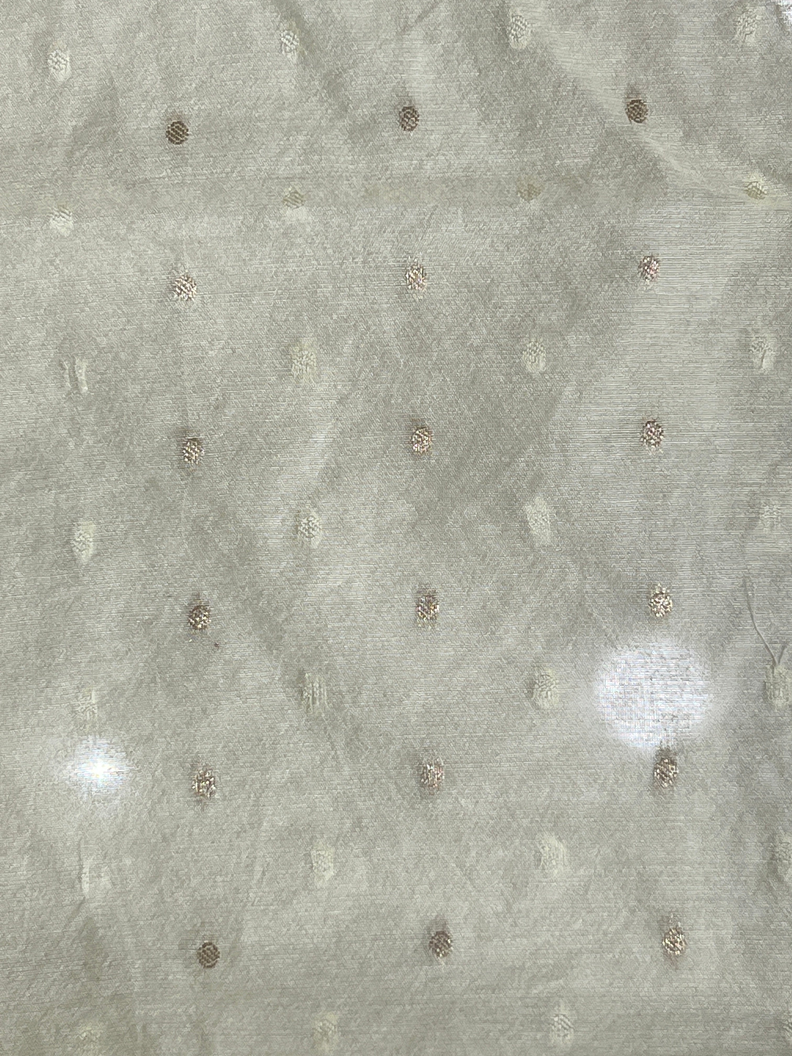 Floral Applique Patterned Organza Saree | MM358