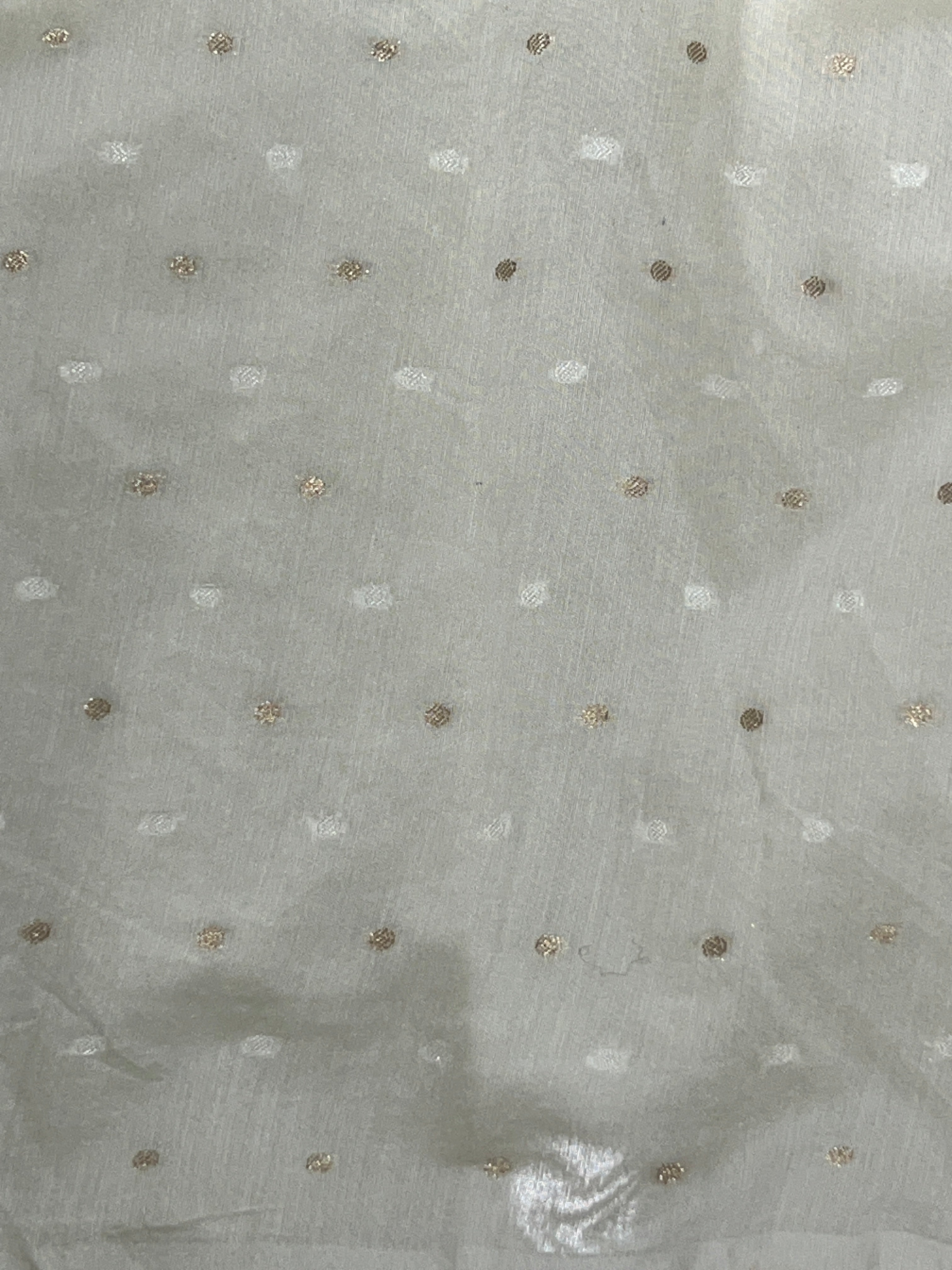 Tissue Applique Patterned Organza Saree | MM368