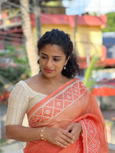 Kutch Work Inspired  Embroidery Pattern  Organza Saree | SK278