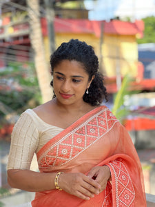 Kutch Work Inspired  Embroidery Pattern  Organza Saree | SK278